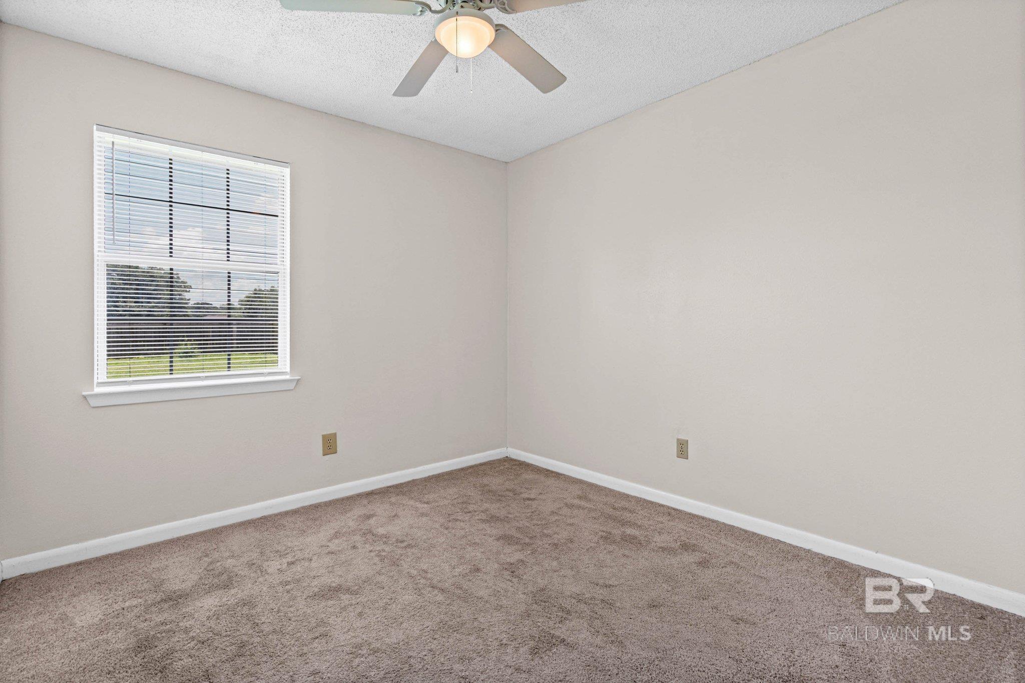 399136 | Photo 15