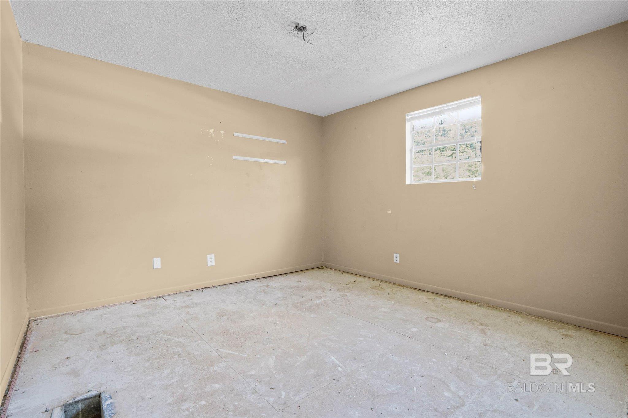 399137 | Photo 11