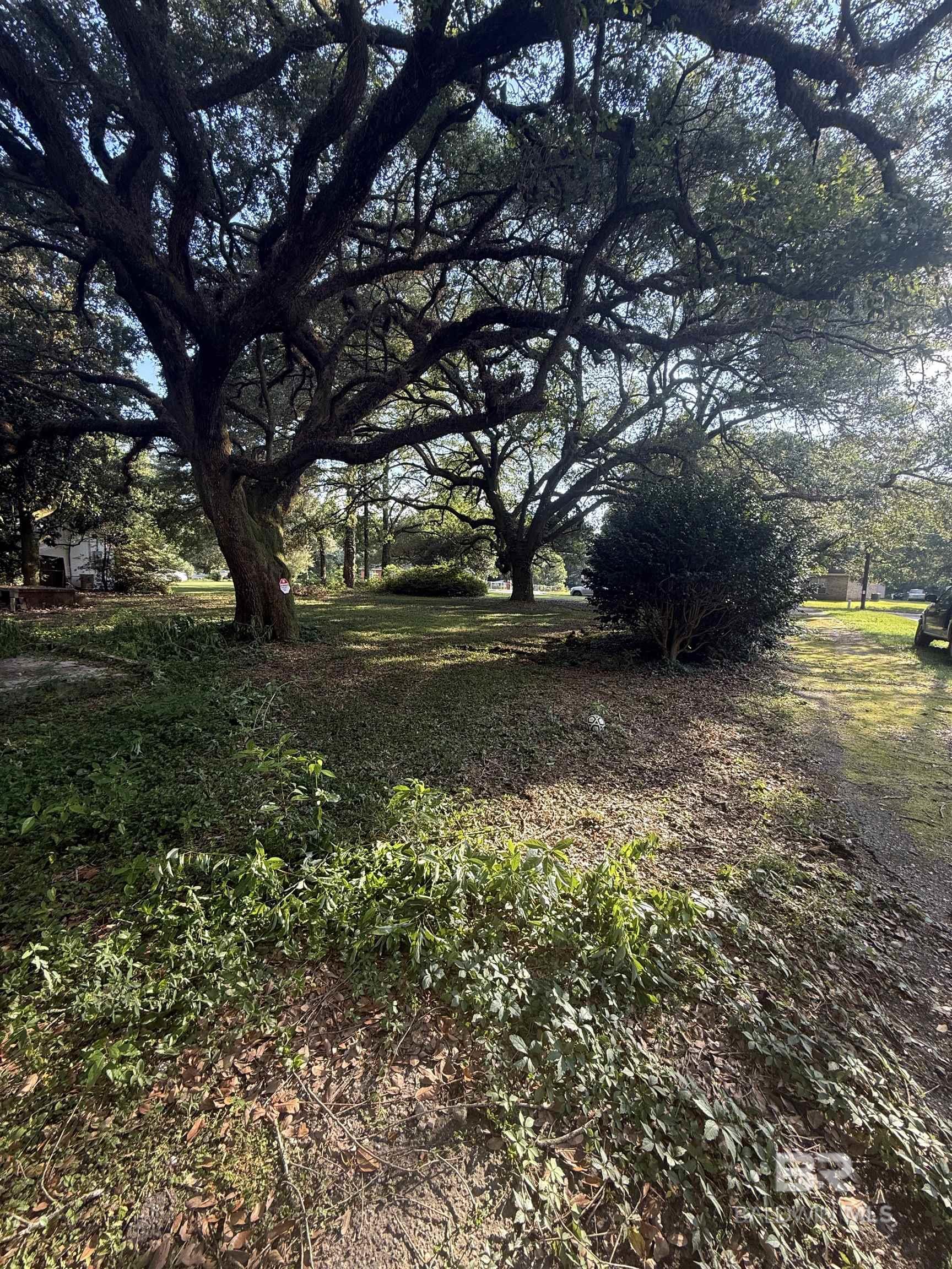 399138 | Photo 3
