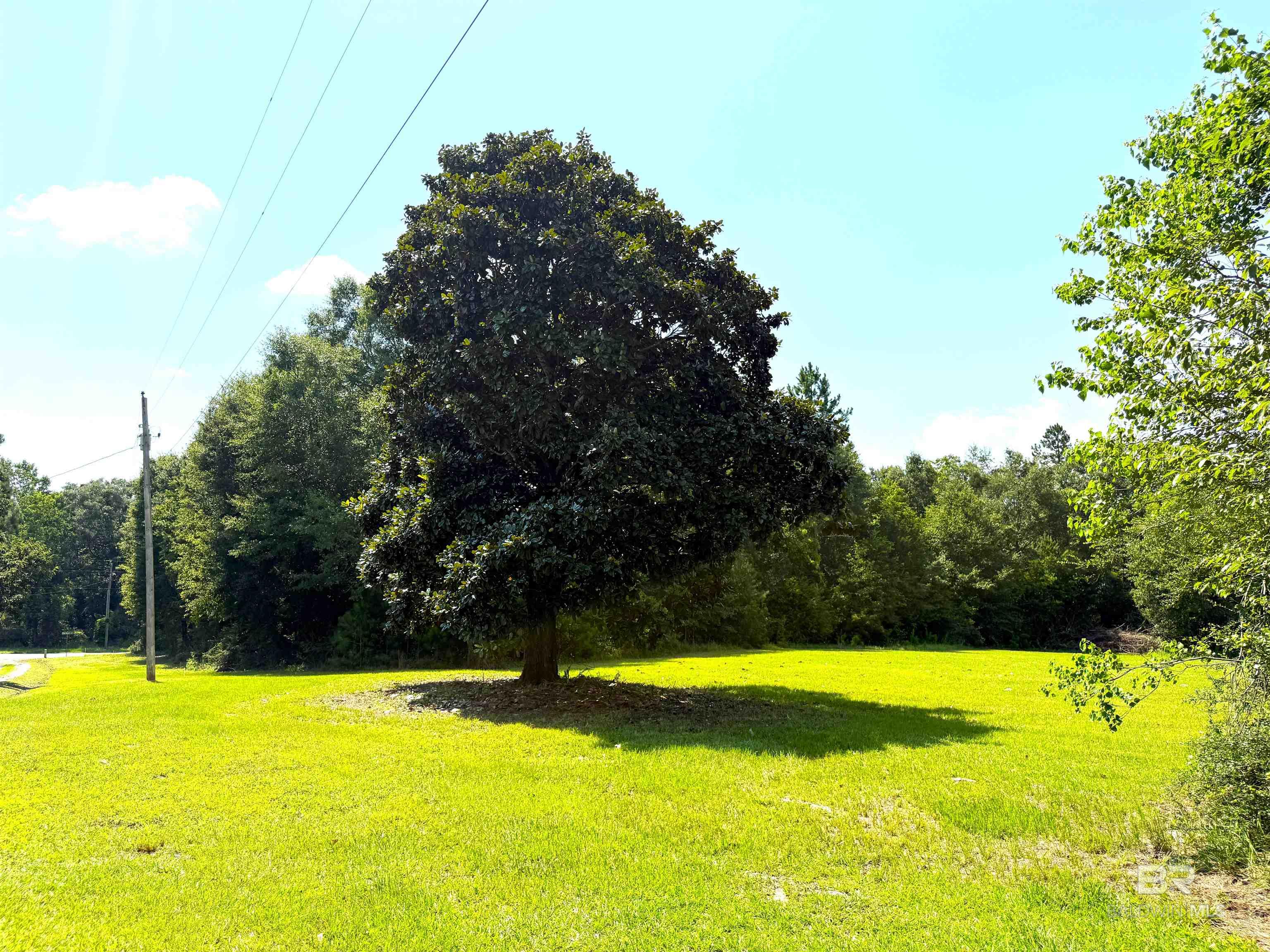 399146 | Photo 35
