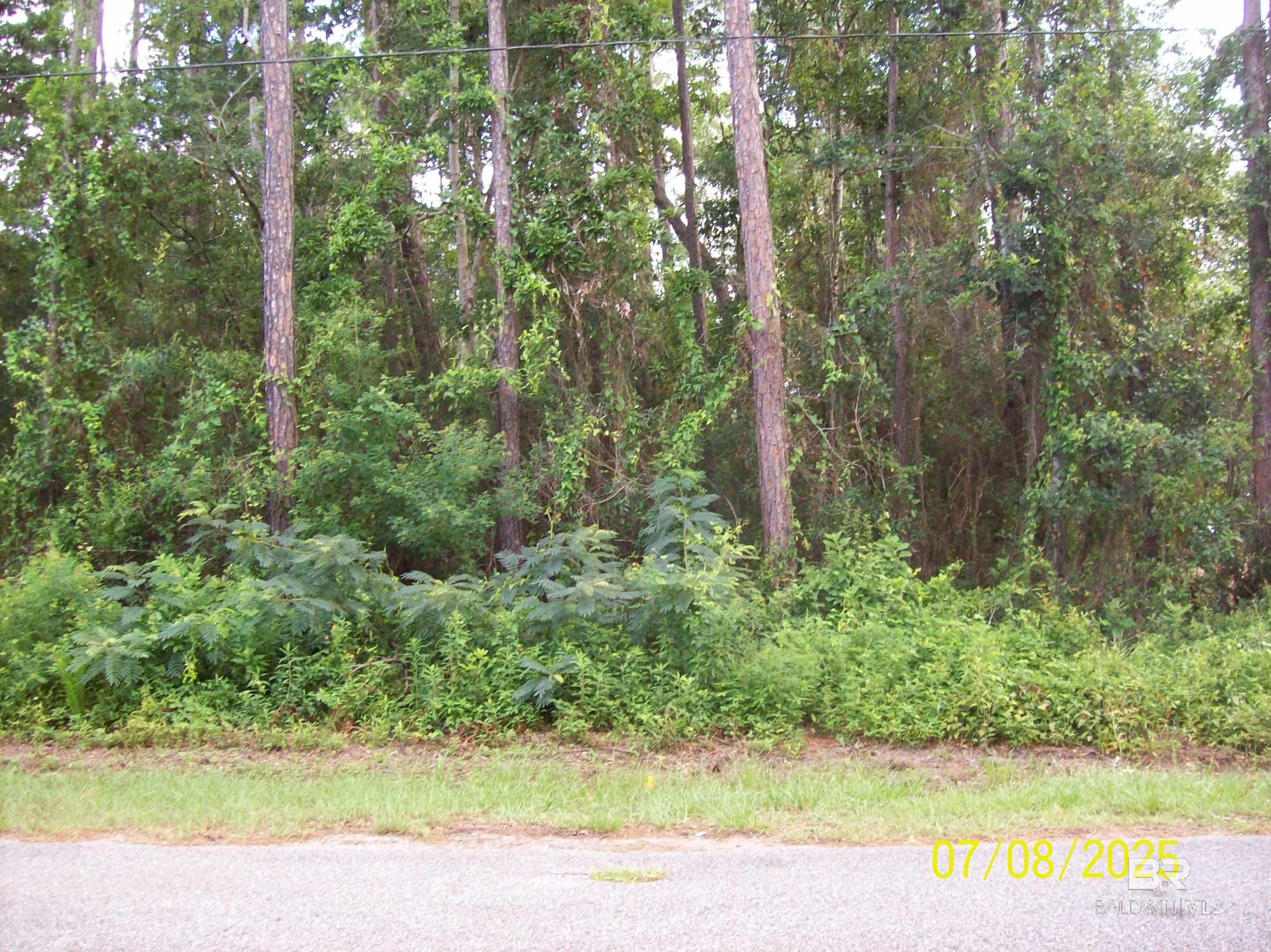 399161 | Photo 3