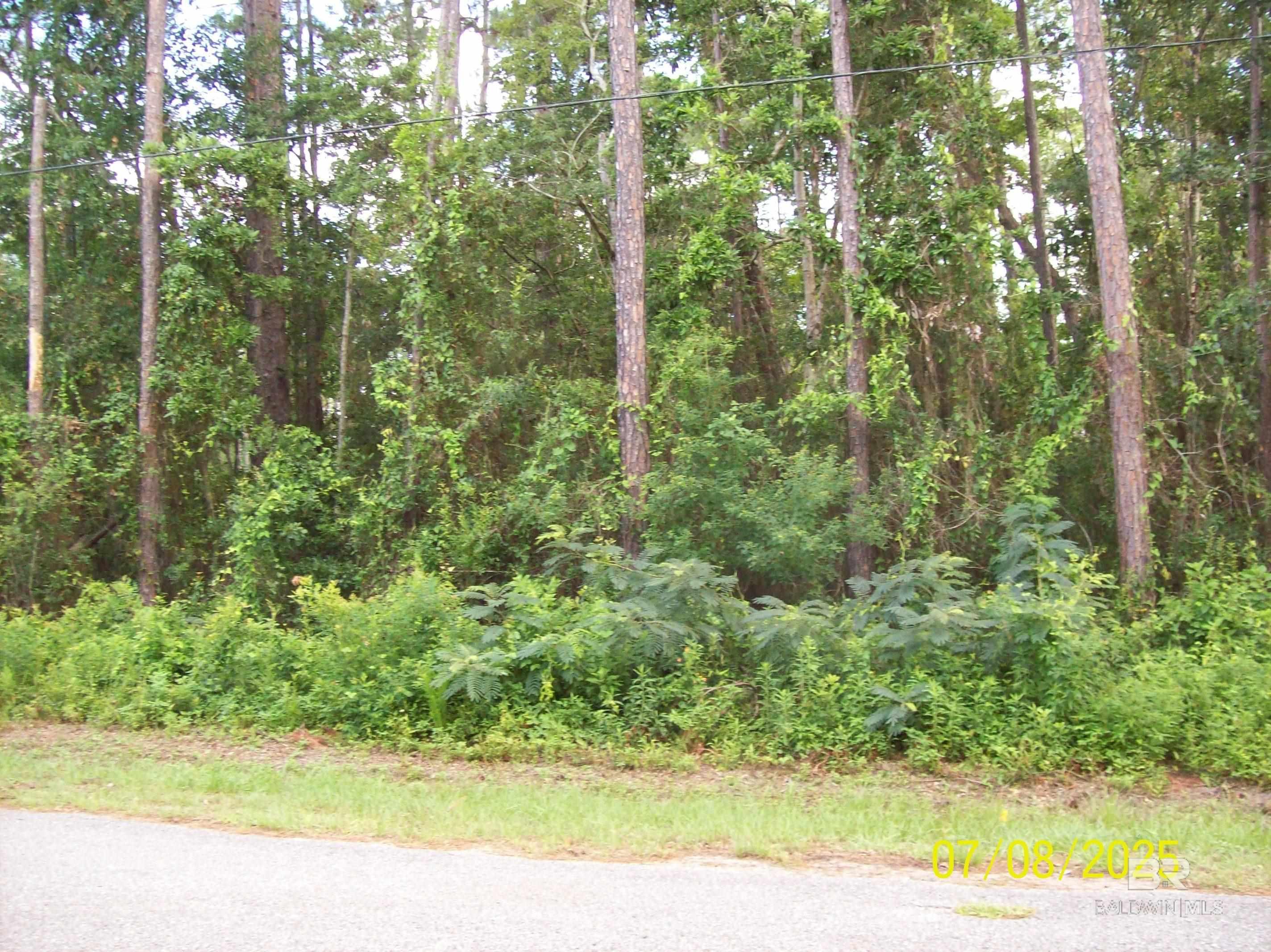 399161 | Photo 4