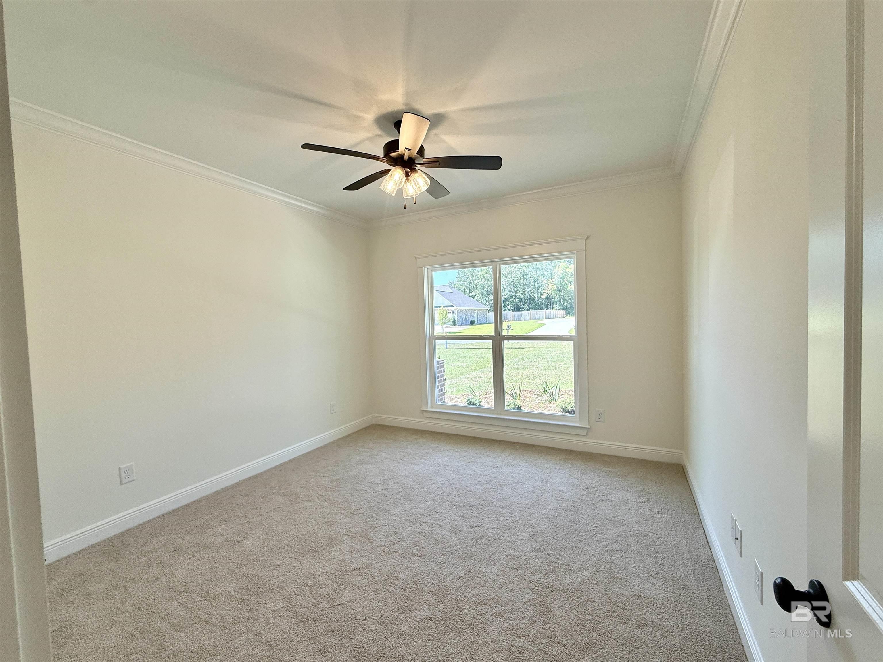 399194 | Photo 8