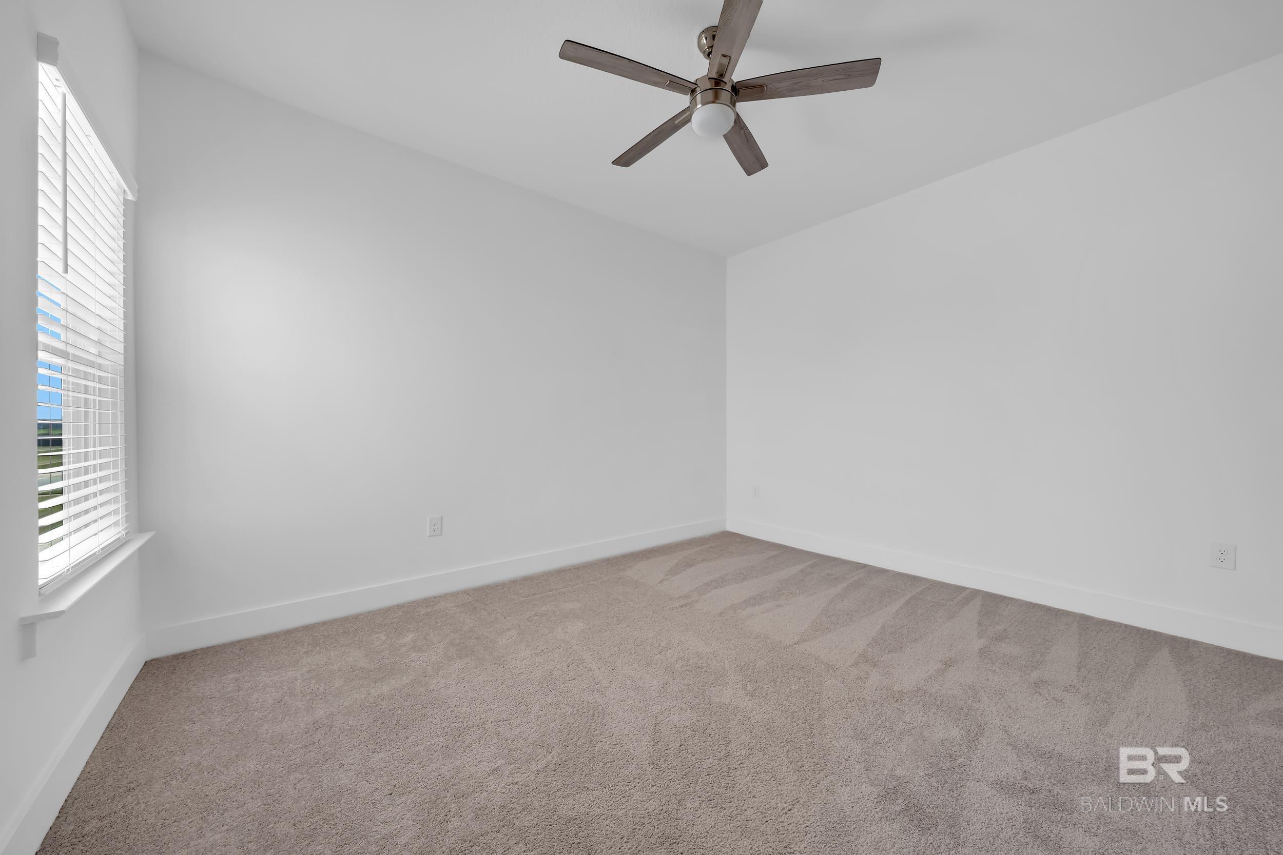399195 | Photo 25