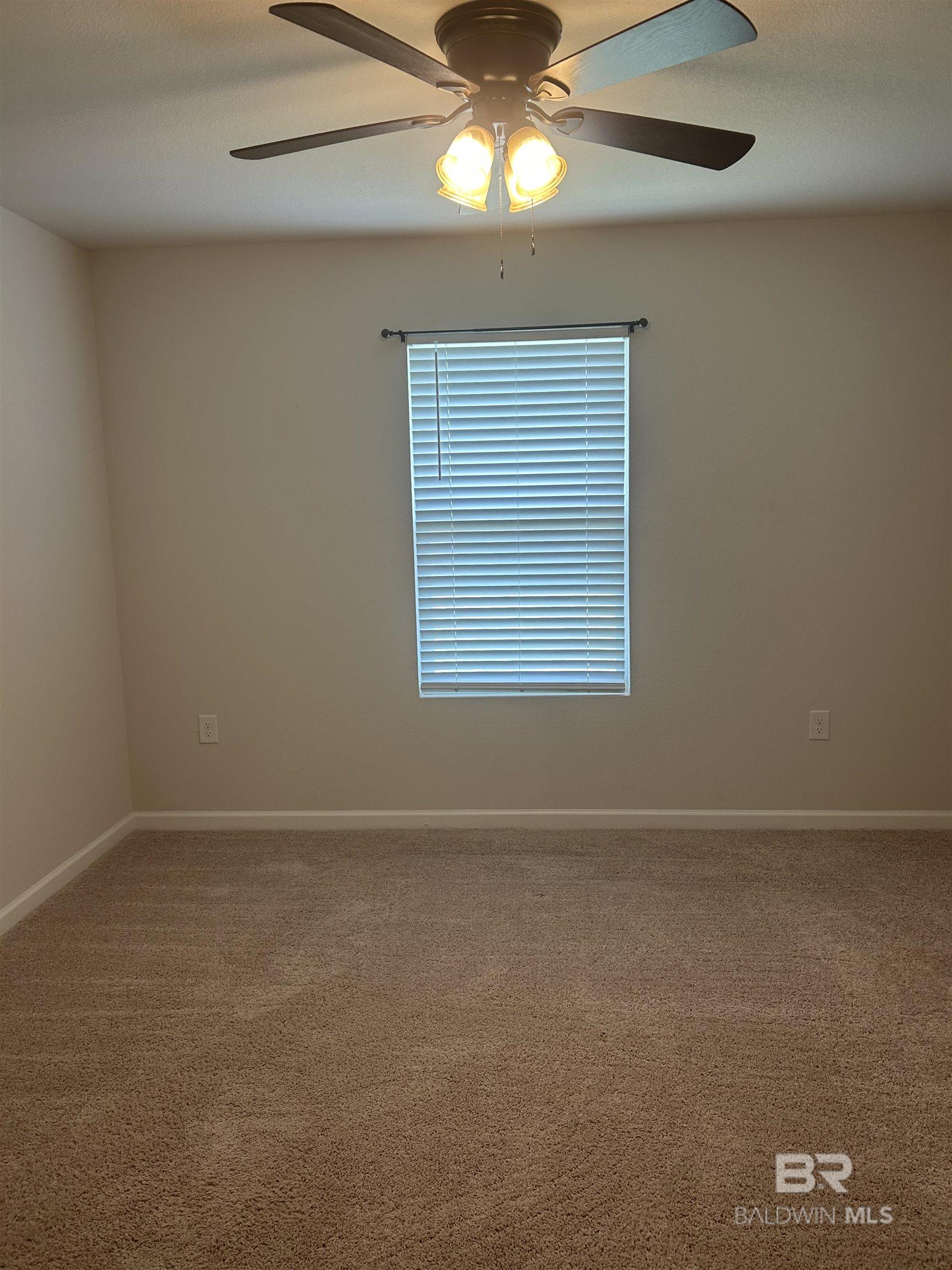 399228 | Photo 20