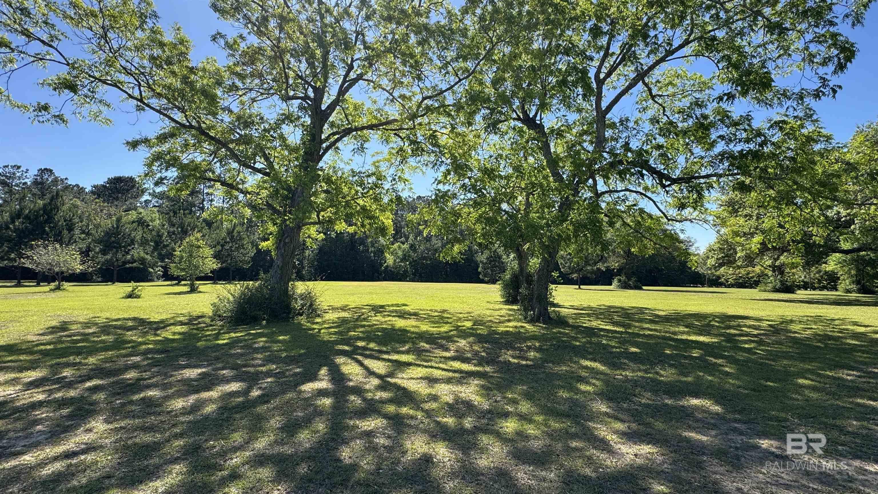 399287 | Photo 46