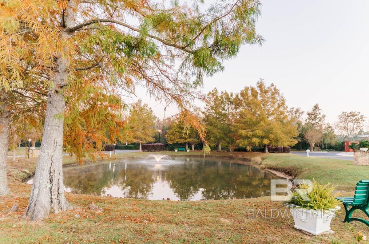 399294 | Photo 17