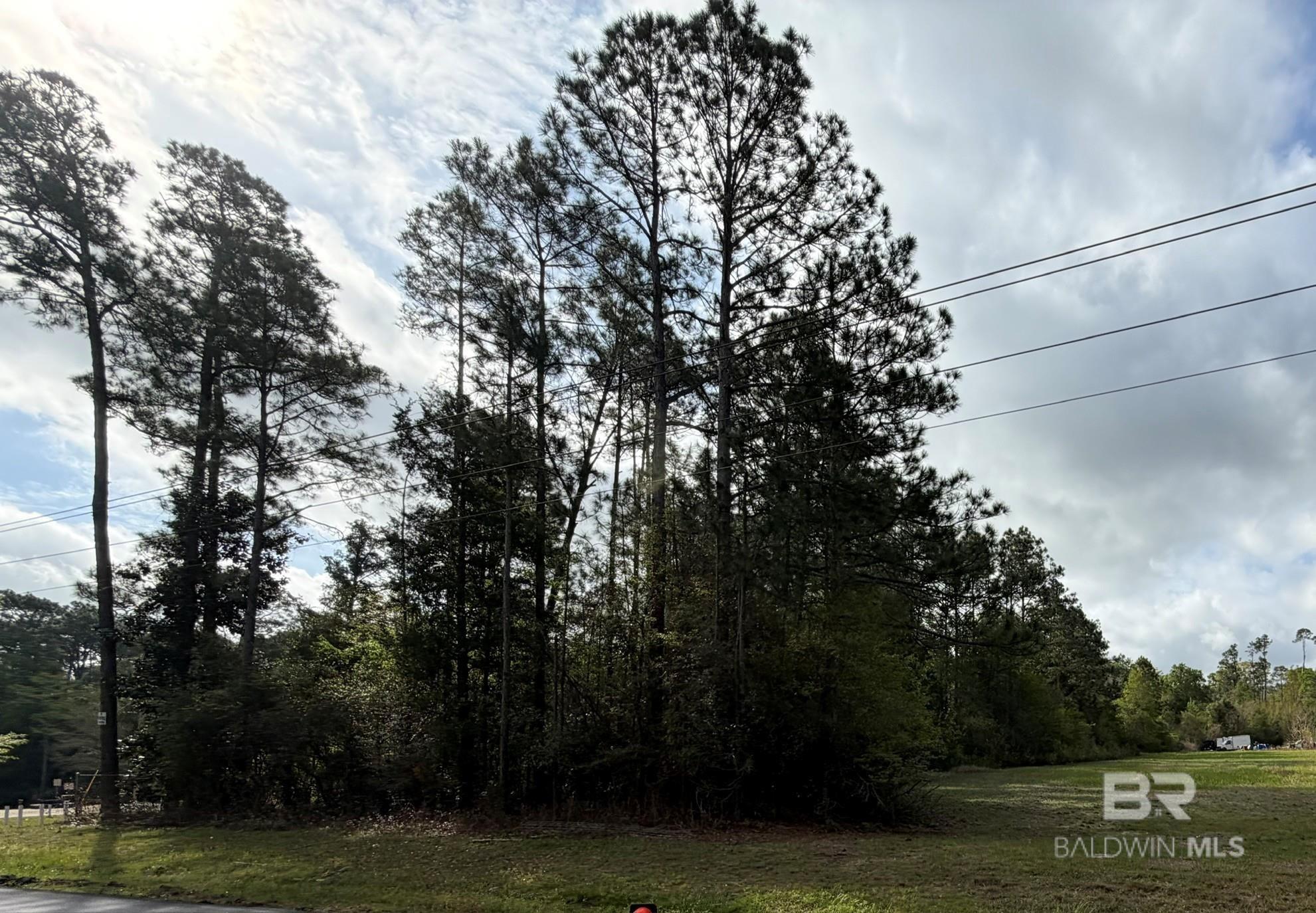 Homes for sale in Fairhope, AL | 0 County Road 48, Fairhope, AL 36532 | MLS# 399813