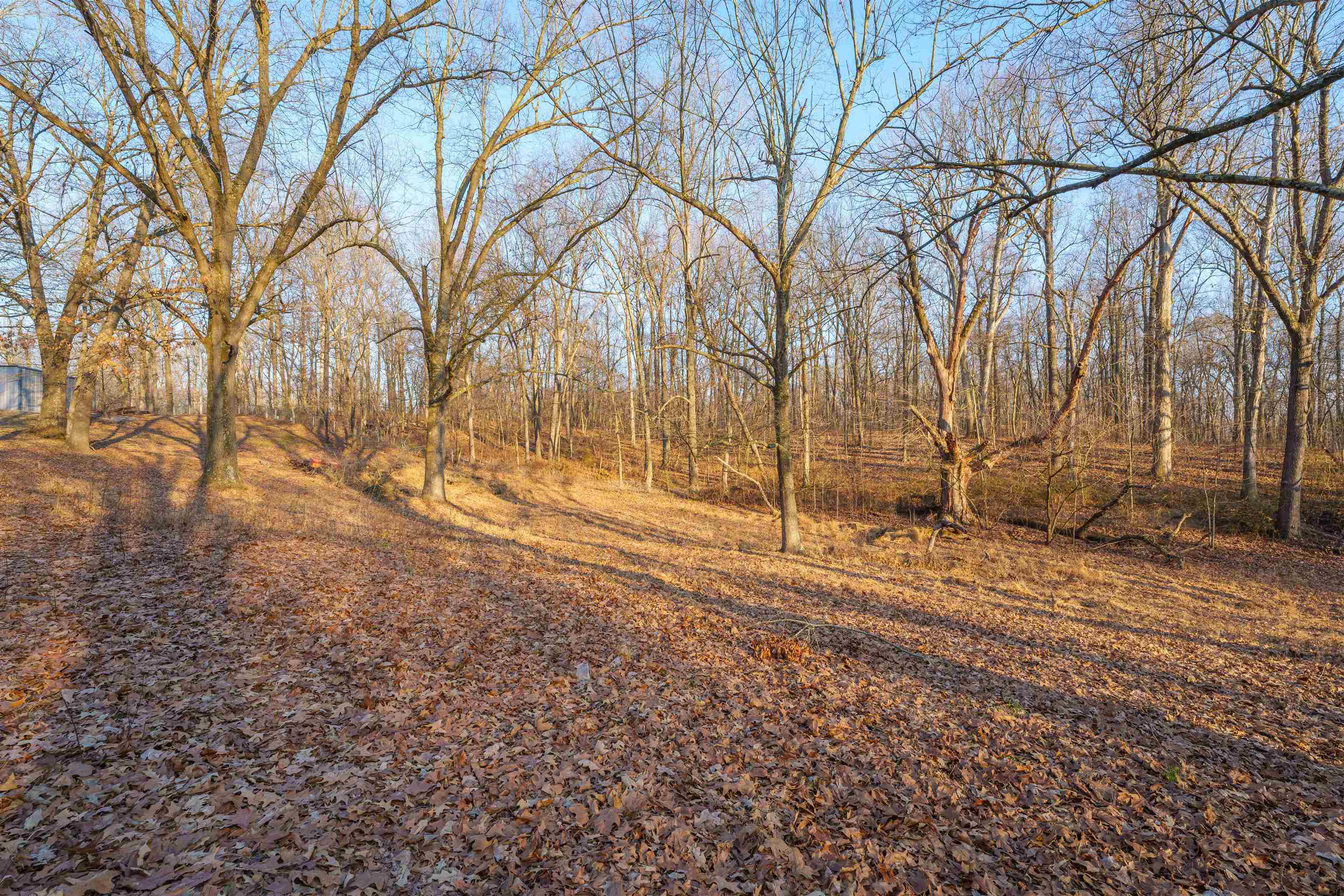 8761 ST. RT. 136 W, Calhoun, Kentucky 42327, 4 Bedrooms Bedrooms, ,3 BathroomsBathrooms,Single Family Residence,For Sale,ST. RT. 136 W,88943