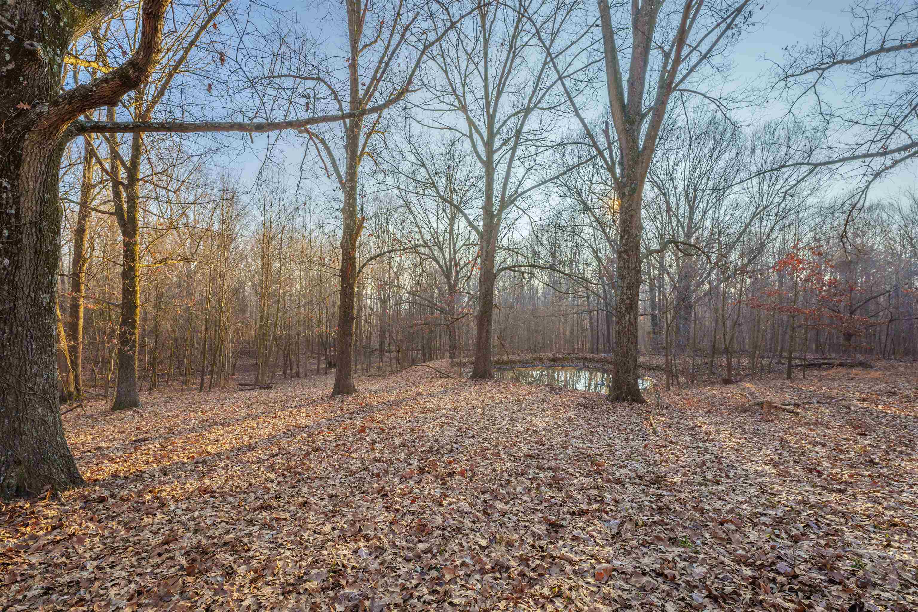 8761 ST. RT. 136 W, Calhoun, Kentucky 42327, 4 Bedrooms Bedrooms, ,3 BathroomsBathrooms,Single Family Residence,For Sale,ST. RT. 136 W,88943