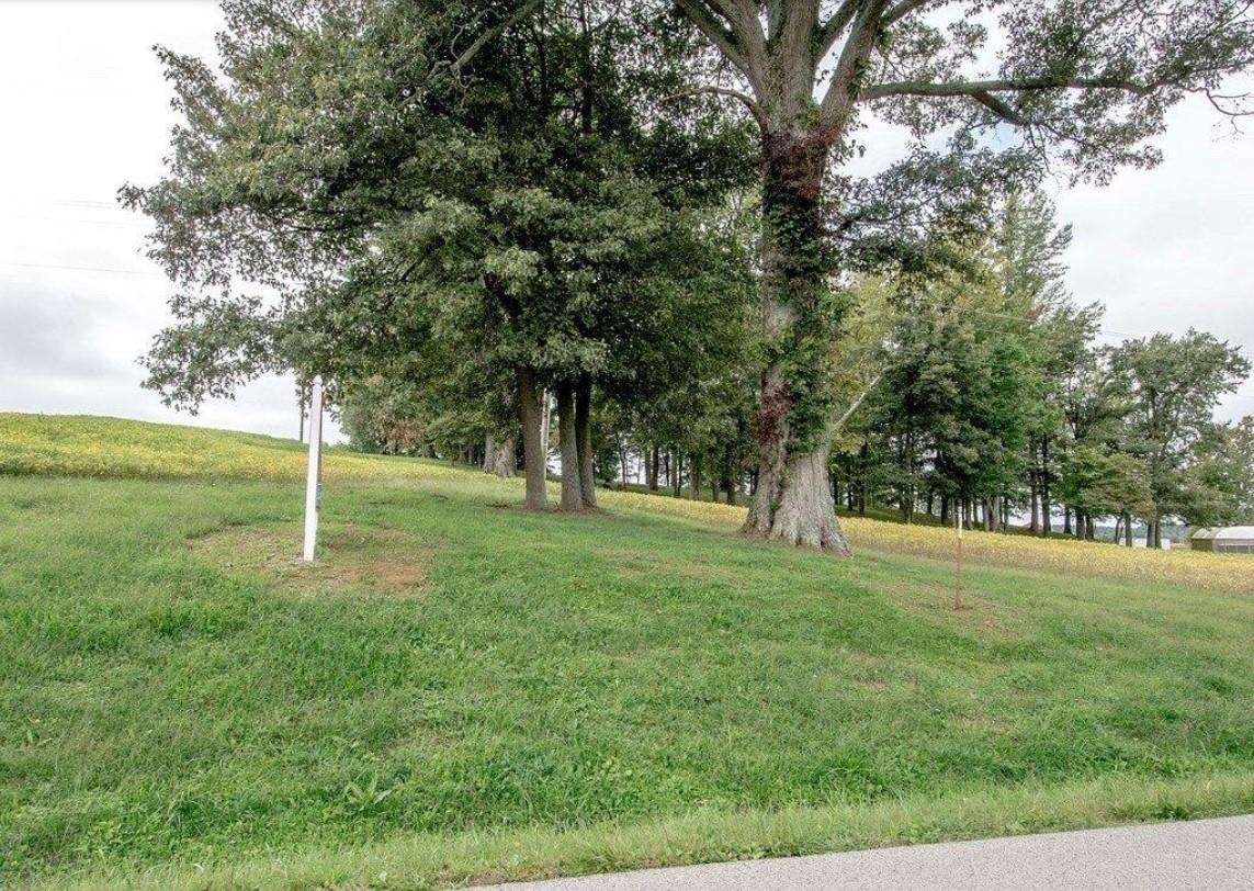 0 Hwy 140, Calhoun, Kentucky 42327, ,Land,For Sale,Hwy 140,91004