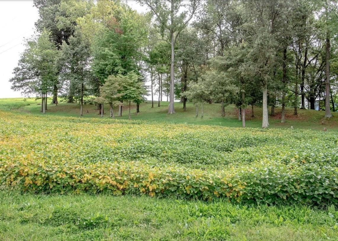 0 Hwy 140, Calhoun, Kentucky 42327, ,Land,For Sale,Hwy 140,91004