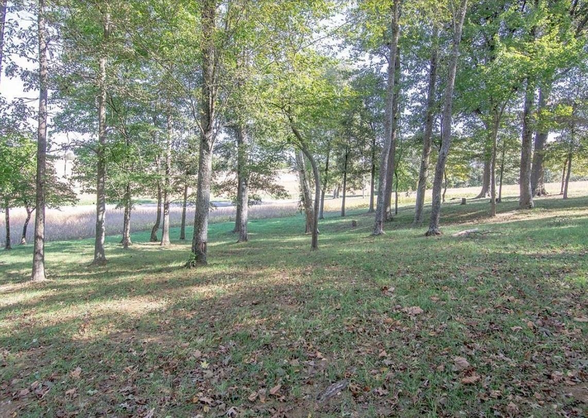 0 Hwy 140, Calhoun, Kentucky 42327, ,Land,For Sale,Hwy 140,91004