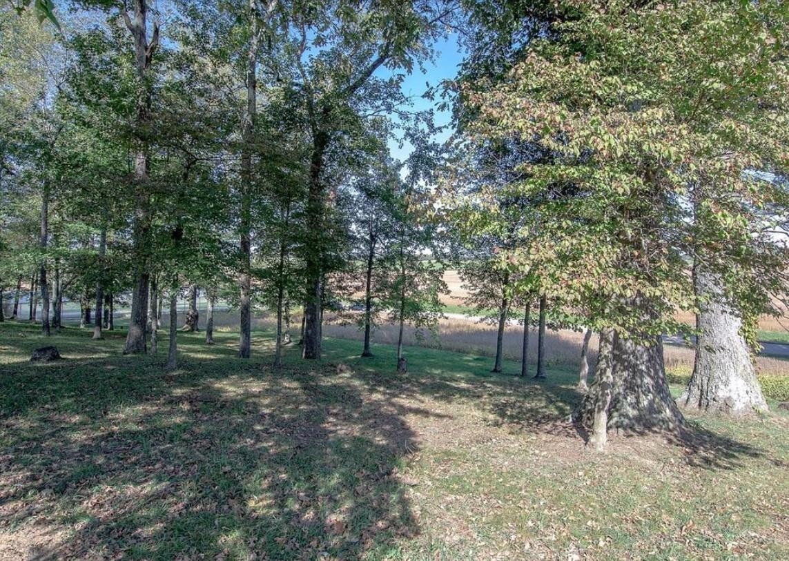 0 Hwy 140, Calhoun, Kentucky 42327, ,Land,For Sale,Hwy 140,91004