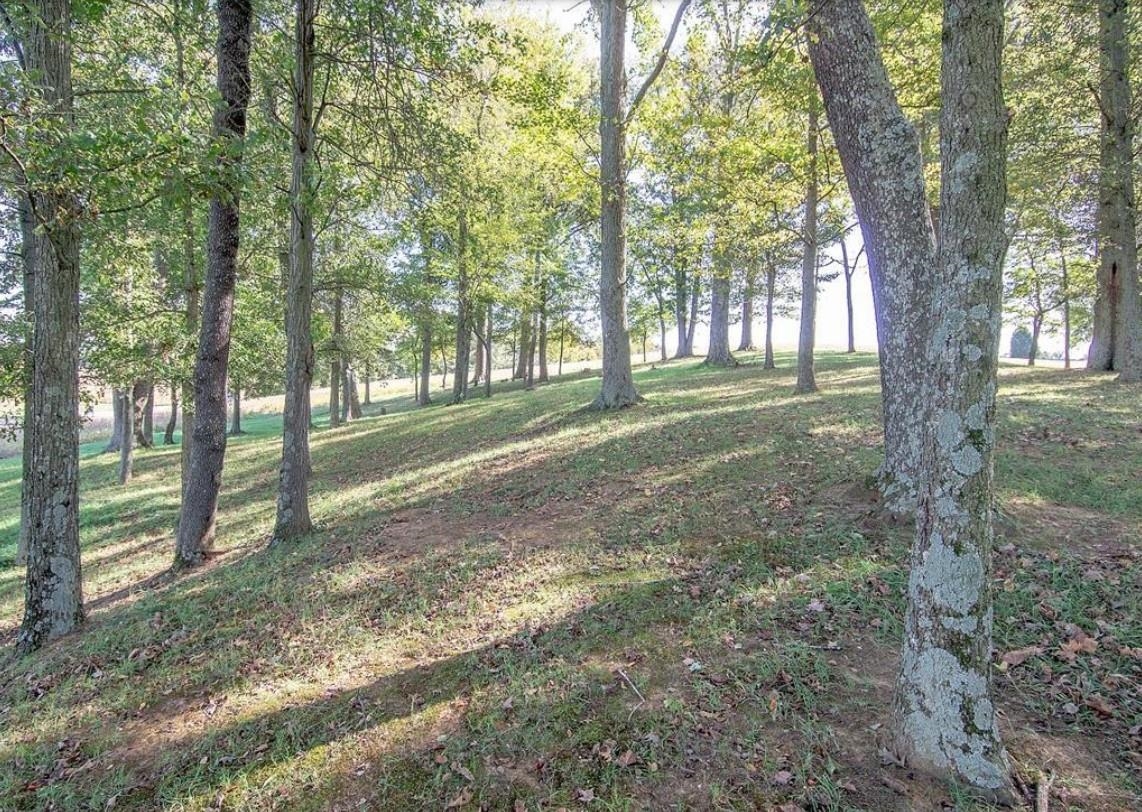 0 Hwy 140, Calhoun, Kentucky 42327, ,Land,For Sale,Hwy 140,91004