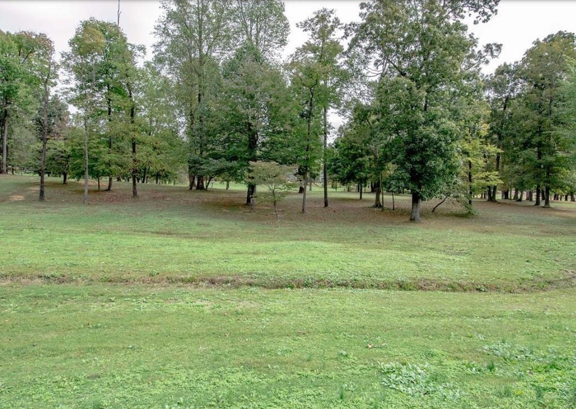 9 Parkview Circle, Calhoun, Kentucky 42327, ,Land,For Sale,Parkview Circle,91005
