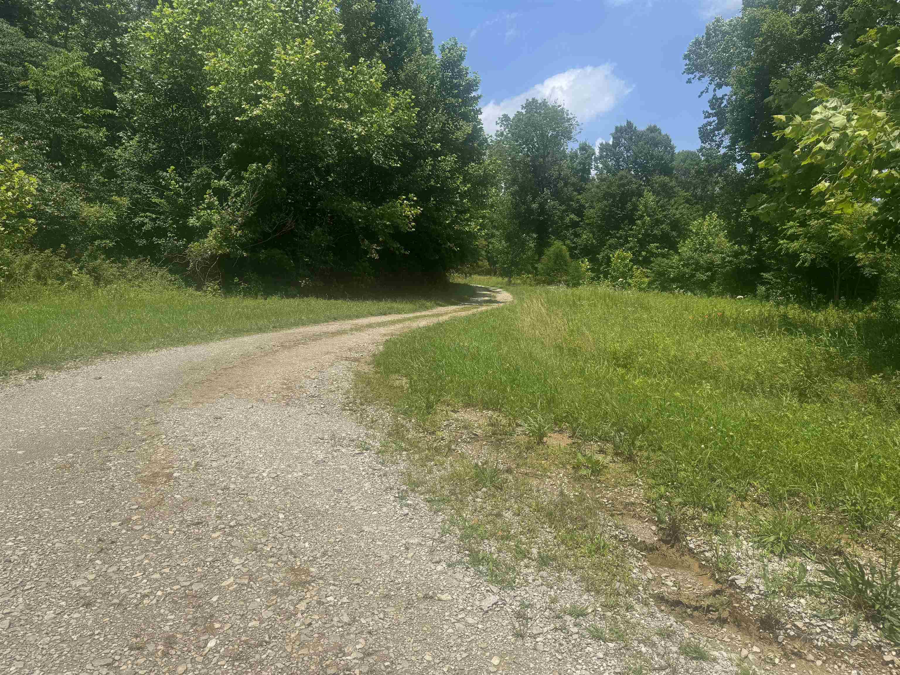 2794 St Rt 919, Fordsville, Kentucky 42343, ,Farm,For Sale,St Rt 919,91343