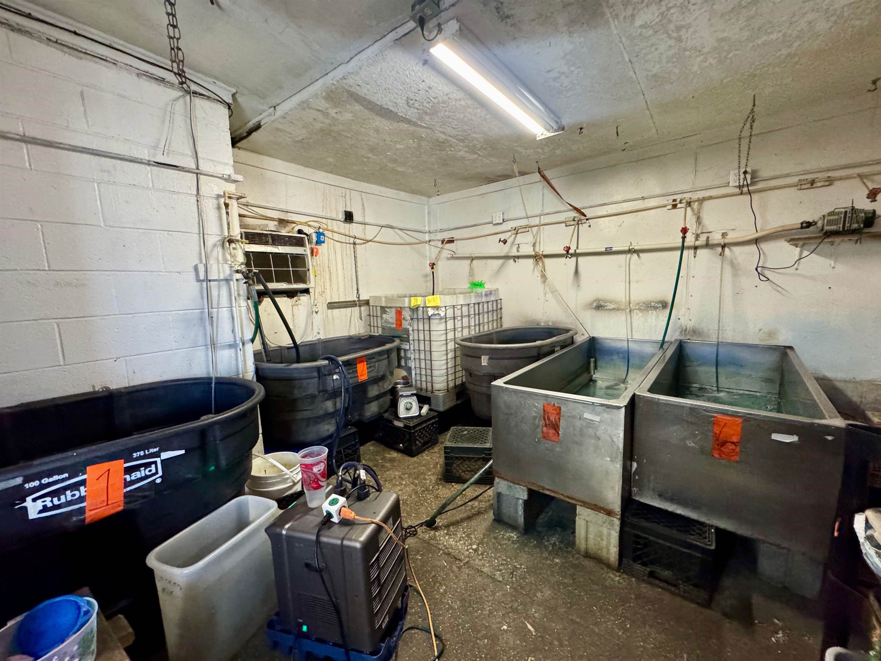 8637 Hwy 259, McDaniels, Kentucky 40152, ,Business,For Sale,Hwy 259,91725