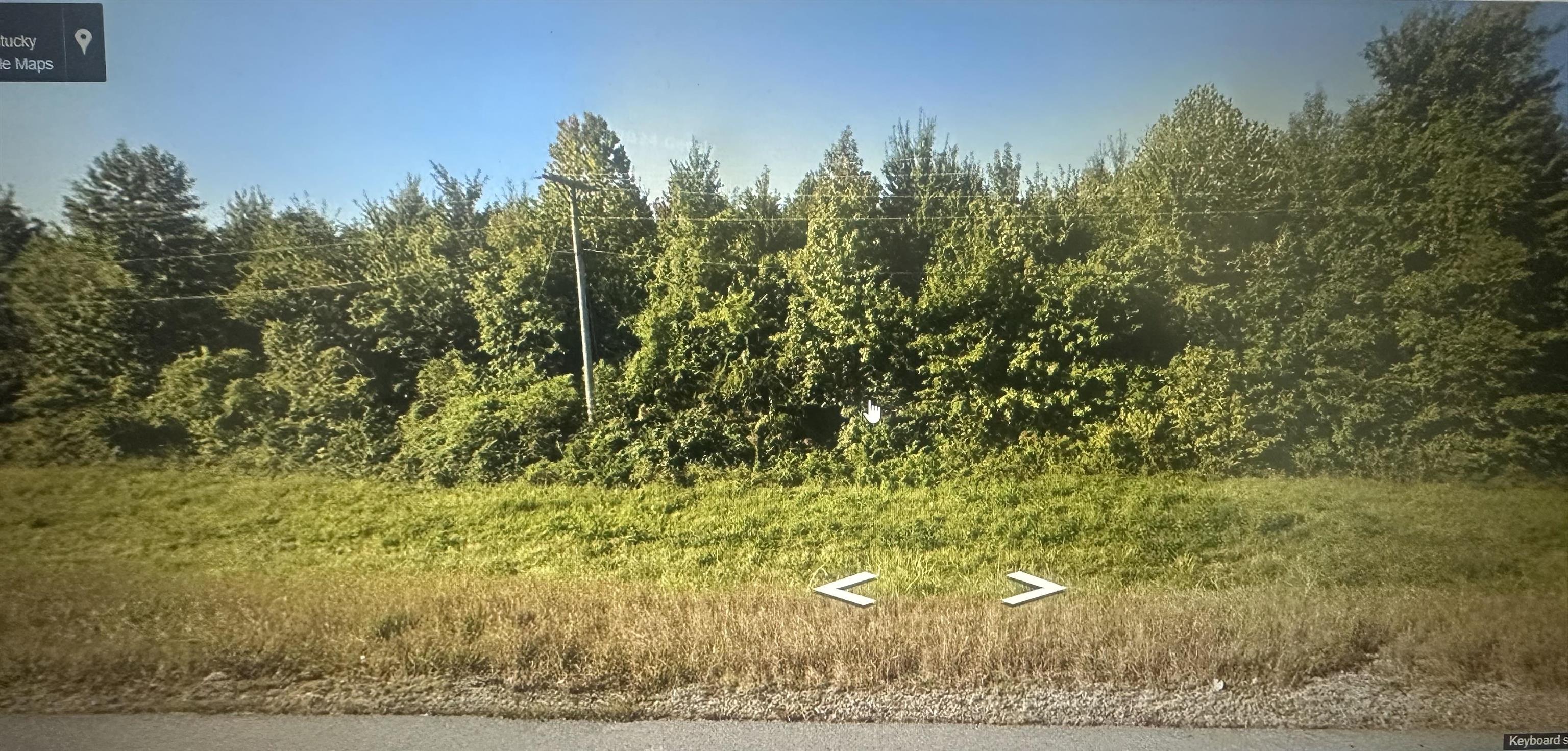 6401 Old New Cut Rd, Louisville, Kentucky 40118, ,Land,For Sale,Old New Cut Rd,92017