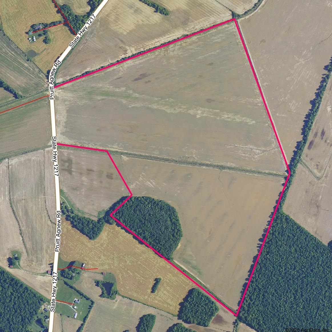 ~6600 Pruitt Agnew Road (HWY 1217), Henderson, Kentucky 42420, ,Farm,For Sale,Pruitt Agnew Road (HWY 1217),92252