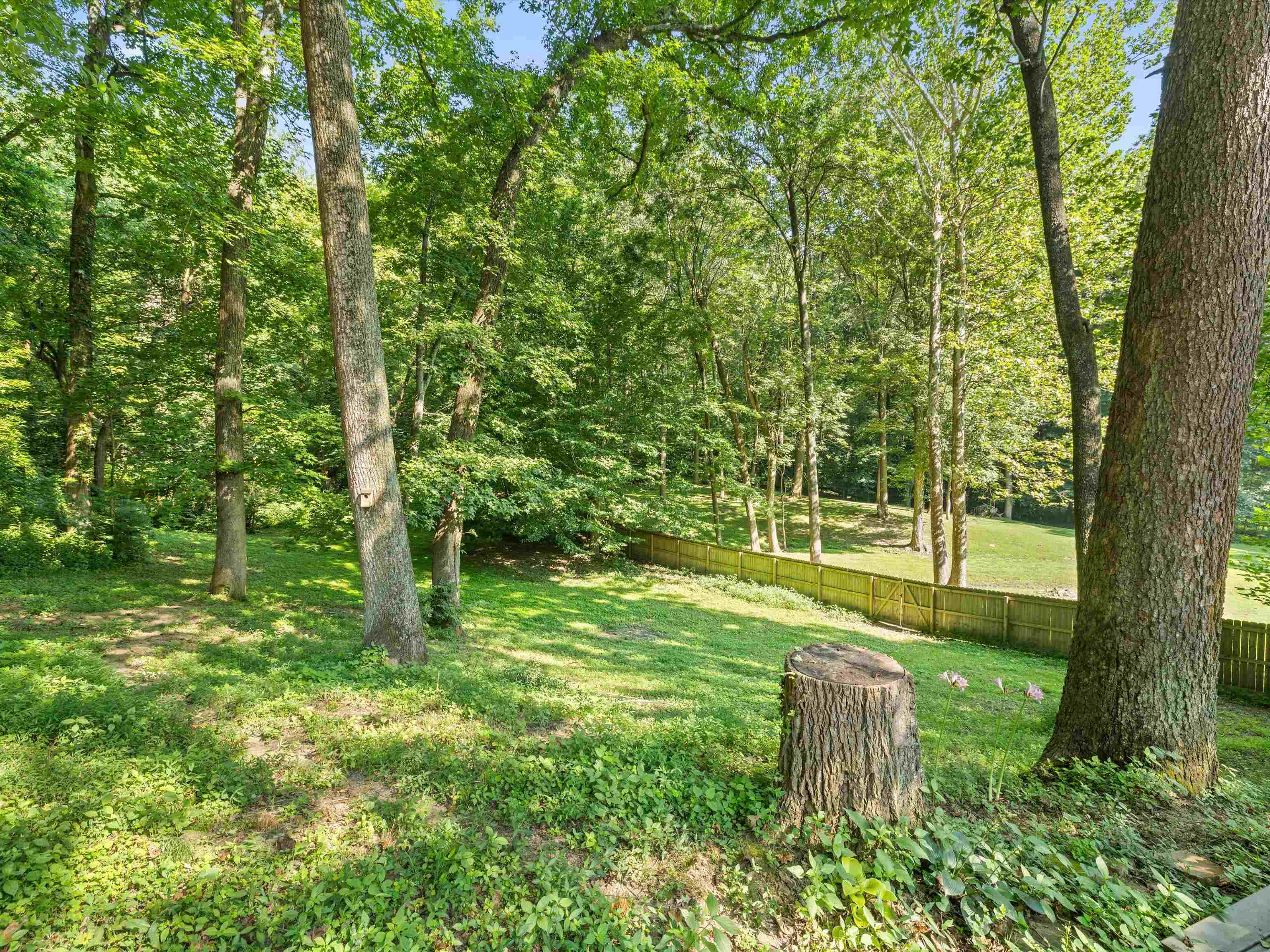 216 Fern Hill Drive, Owensboro, Kentucky 42301, 3 Bedrooms Bedrooms, ,2 BathroomsBathrooms,Ranch,For Sale,Fern Hill Drive,92738