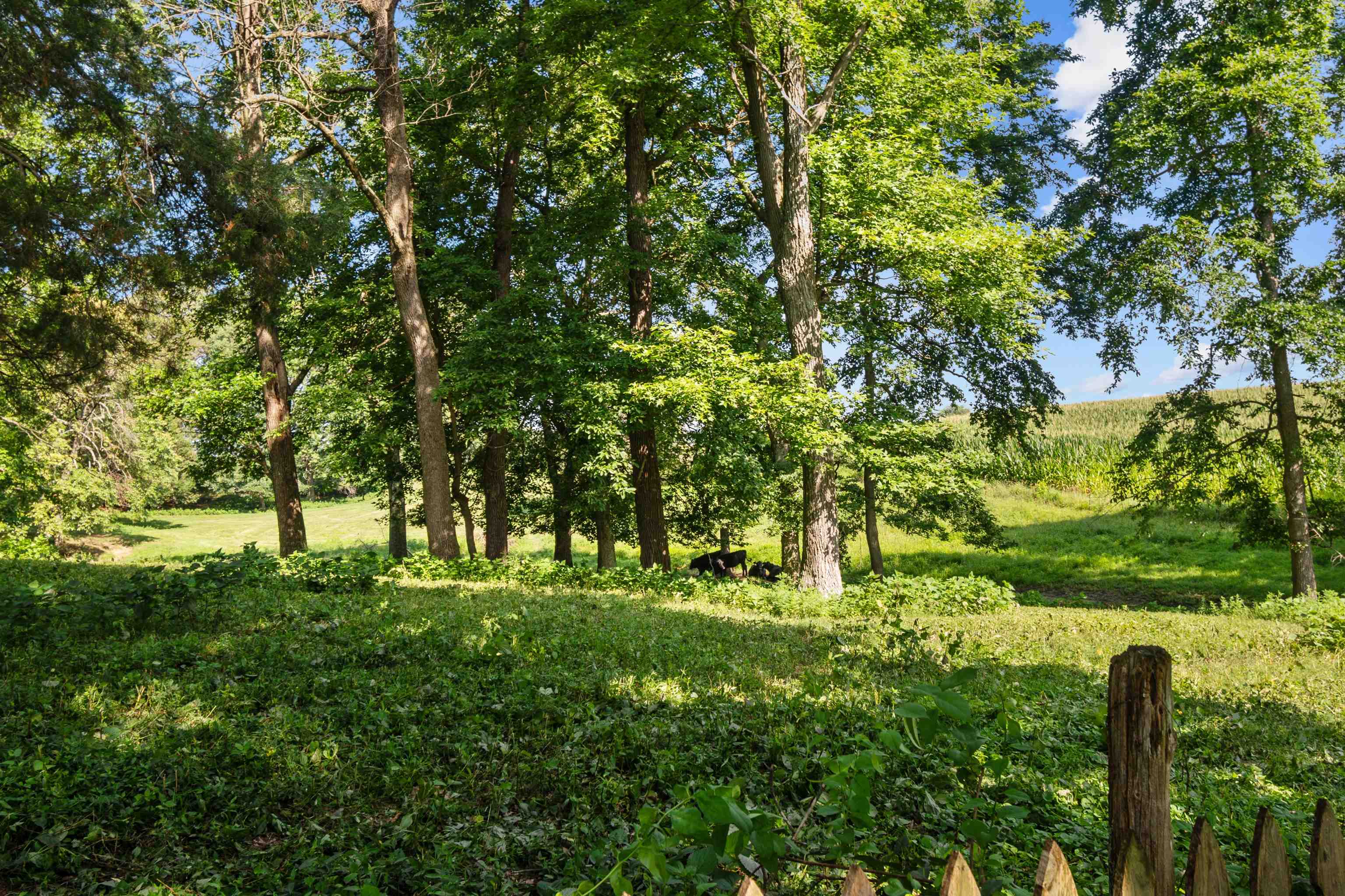 4446 Stonegate Drive, Owensboro, Kentucky 42303, 4 Bedrooms Bedrooms, ,2 BathroomsBathrooms,Single Family Residence,For Sale,Stonegate Drive,92764