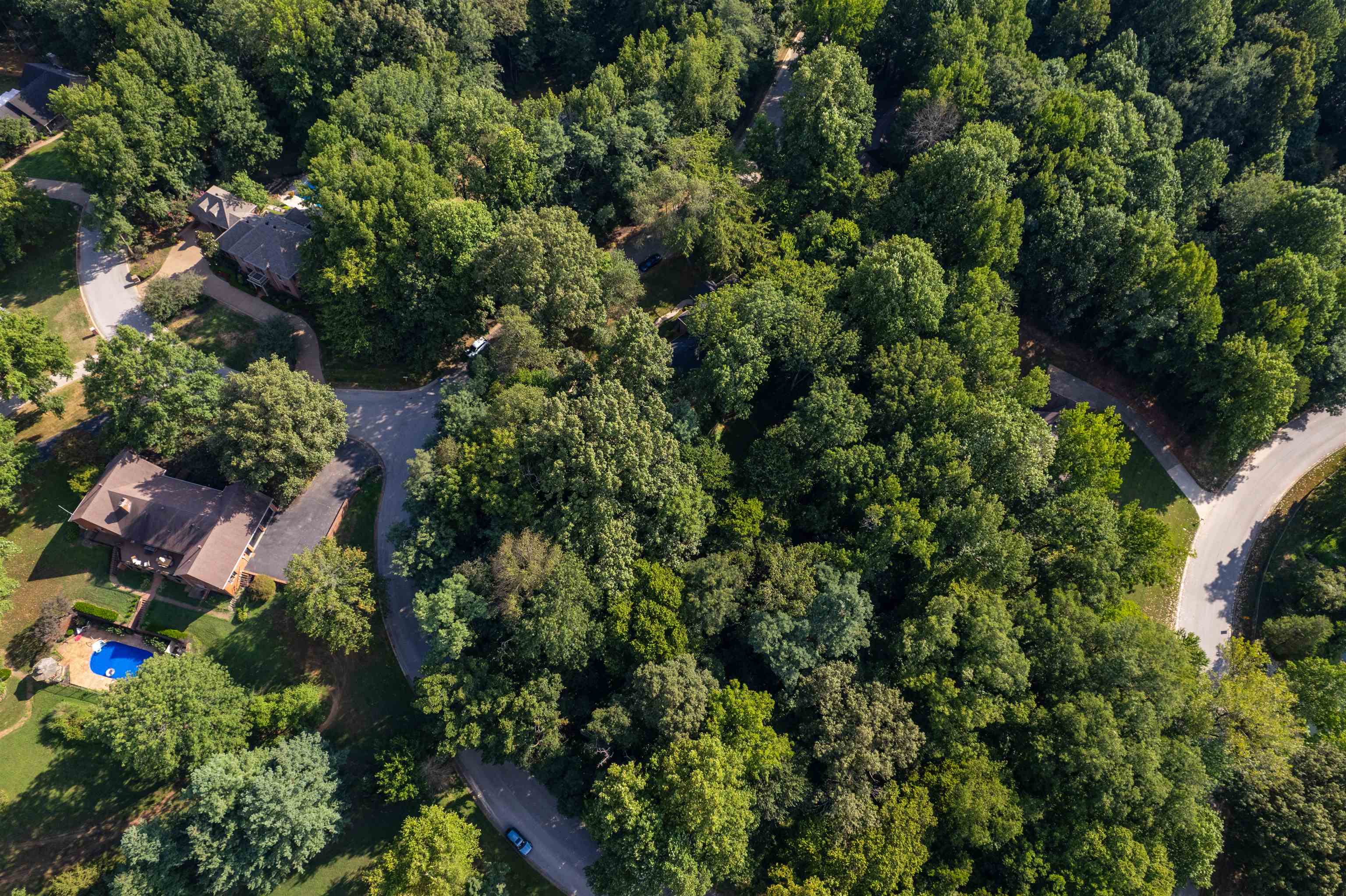 2835 Timberline dr, Owensboro, Kentucky 42303, ,Land,For Sale,Timberline dr,92879