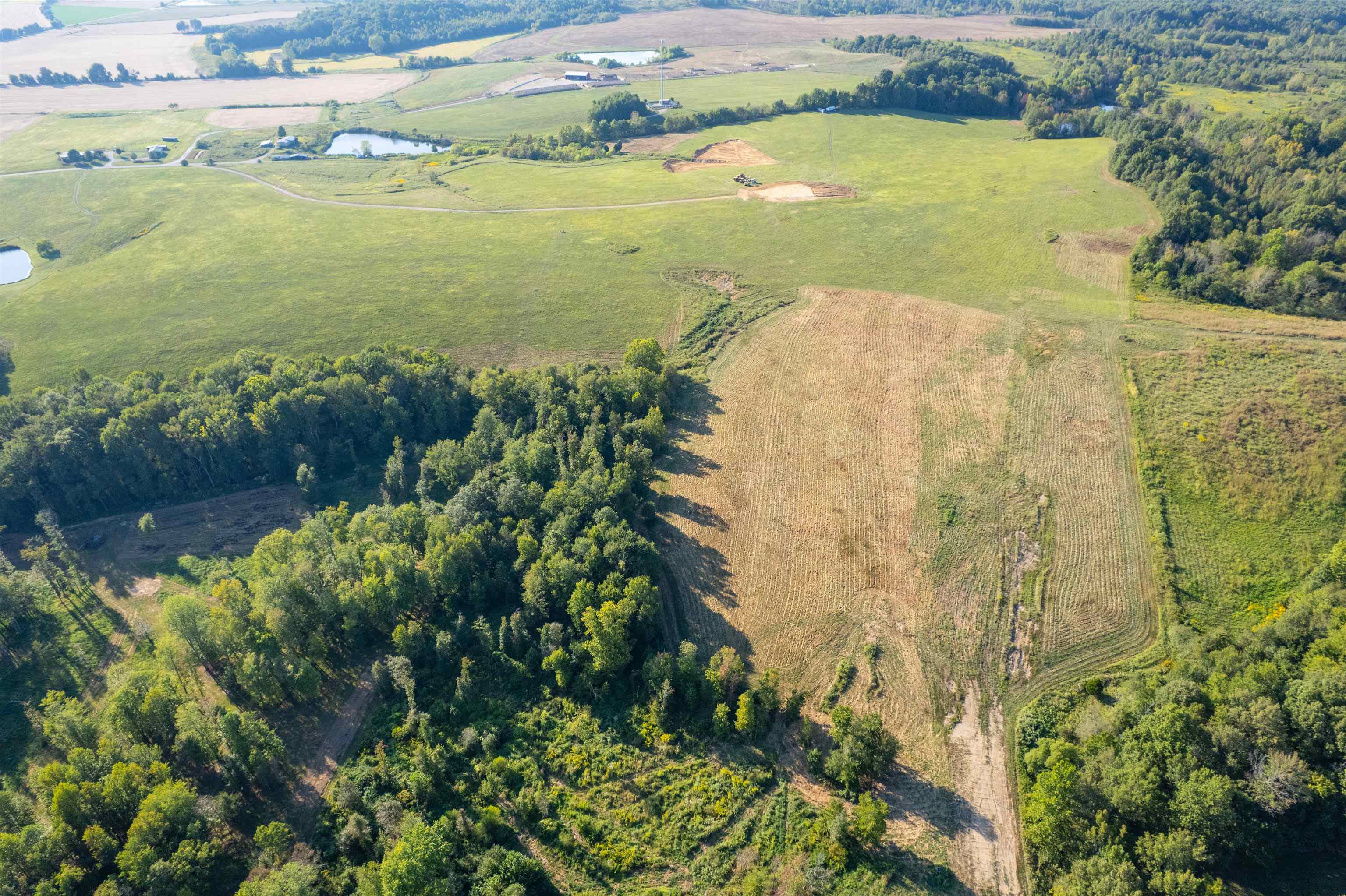 11011 KY-951, Hawesville, Kentucky 42348, ,Land,For Sale,KY-951,93091