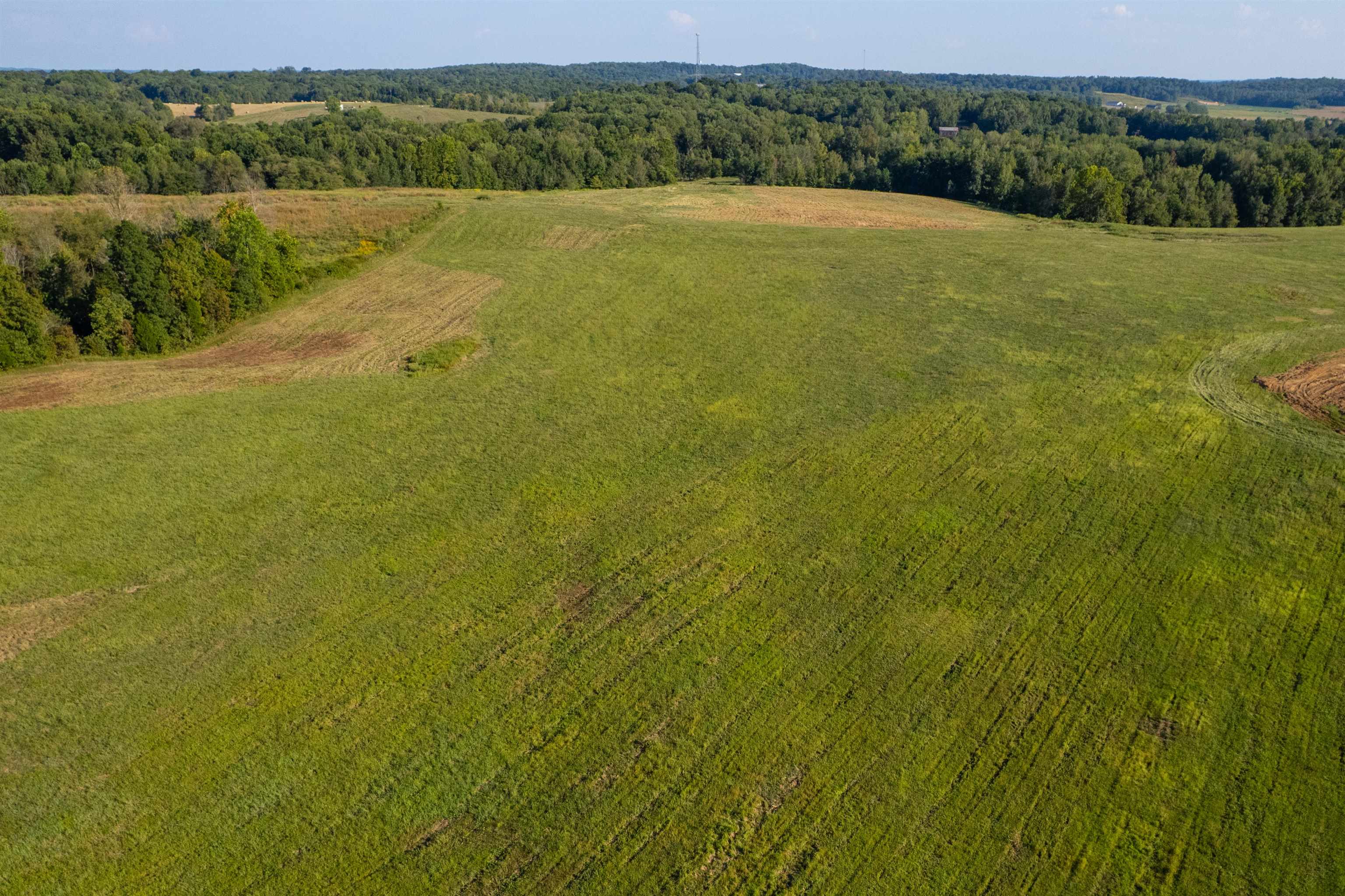 11011 KY-951, Hawesville, Kentucky 42348, ,Land,For Sale,KY-951,93091
