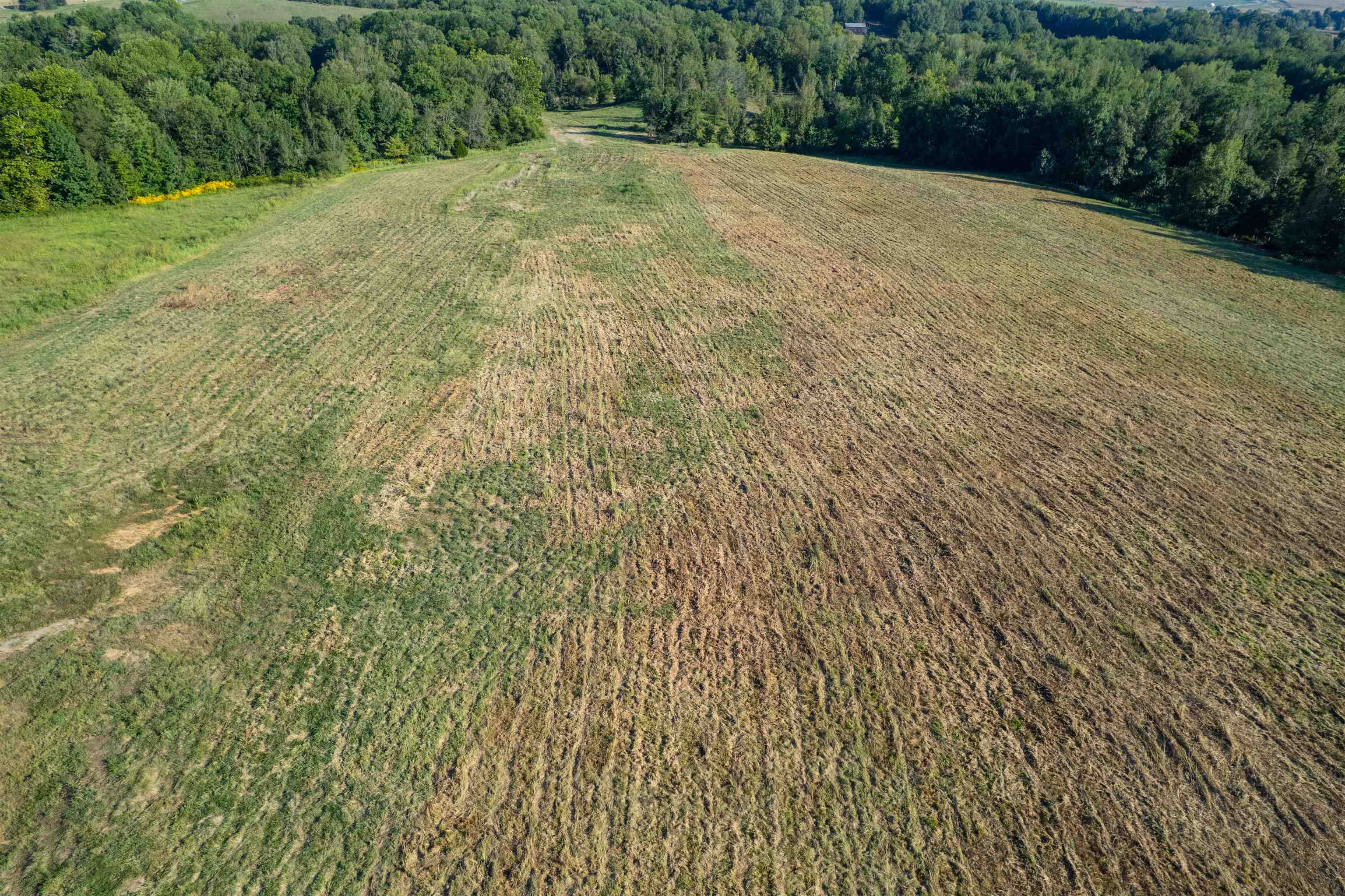 11011 KY-951, Hawesville, Kentucky 42348, ,Land,For Sale,KY-951,93091