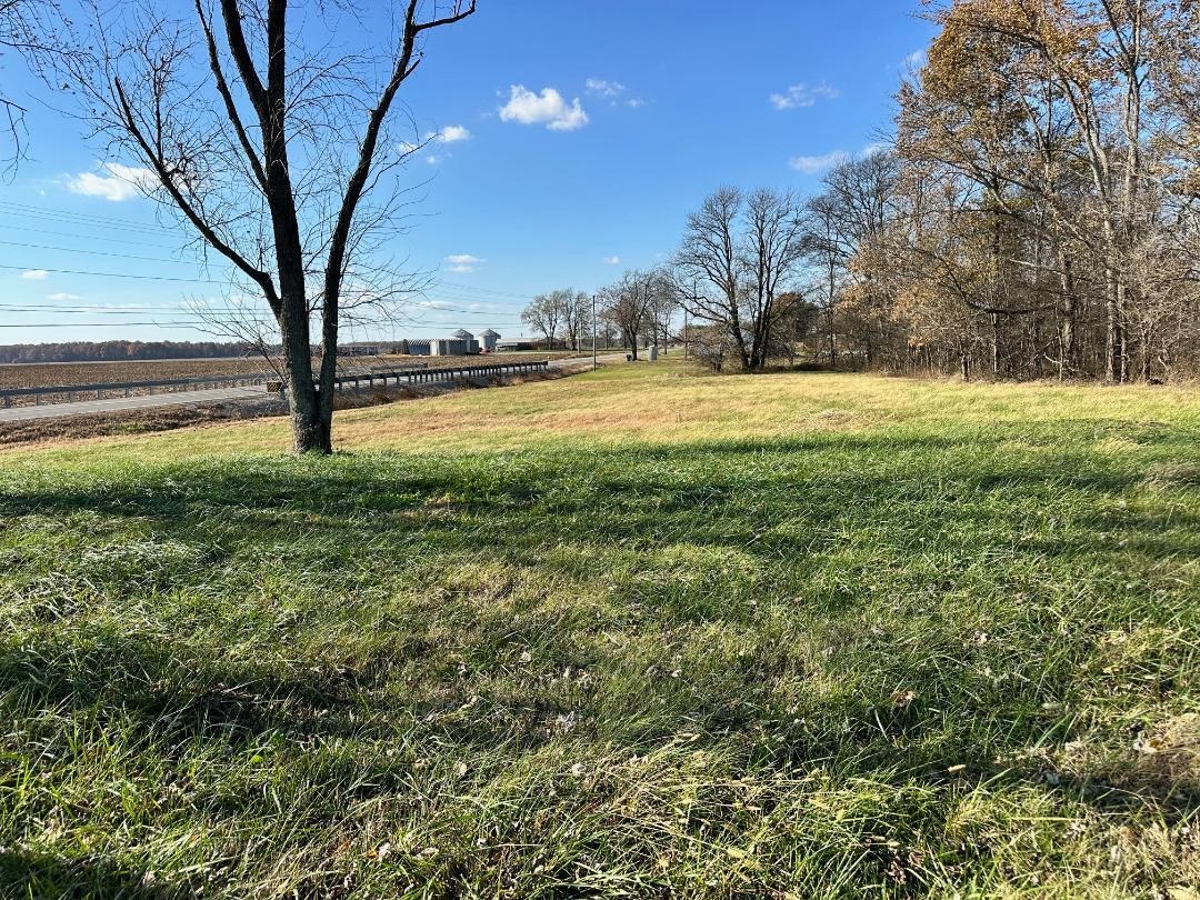 16003 Hwy 60, Reed, Kentucky 42451, ,Land,For Sale,Hwy 60,93176