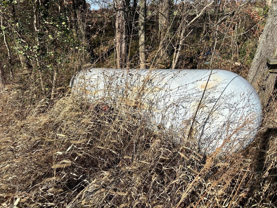 16003 Hwy 60, Reed, Kentucky 42451, ,Land,For Sale,Hwy 60,93176