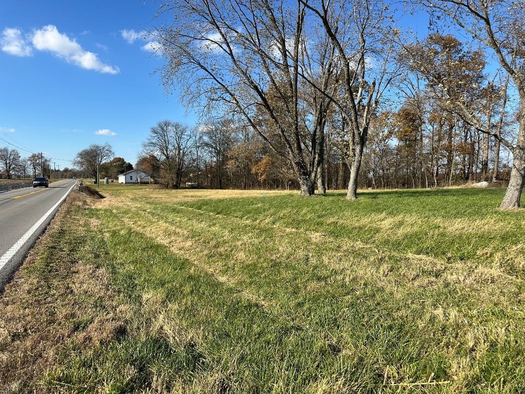 16003 Hwy 60, Reed, Kentucky 42451, ,Land,For Sale,Hwy 60,93176