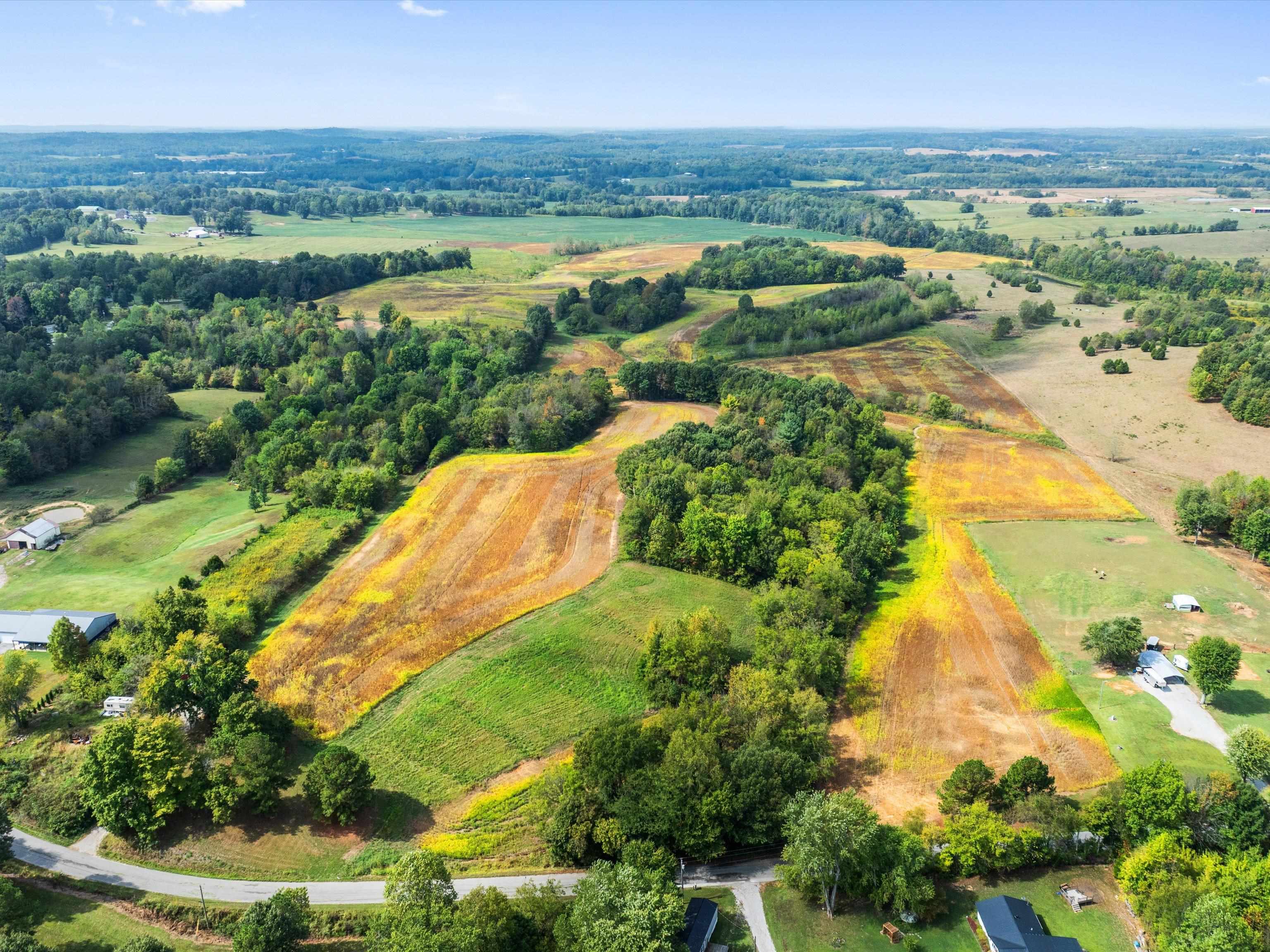 1295 Buford Road, Utica, Kentucky 42376, ,Farm,For Sale,Buford Road,93210