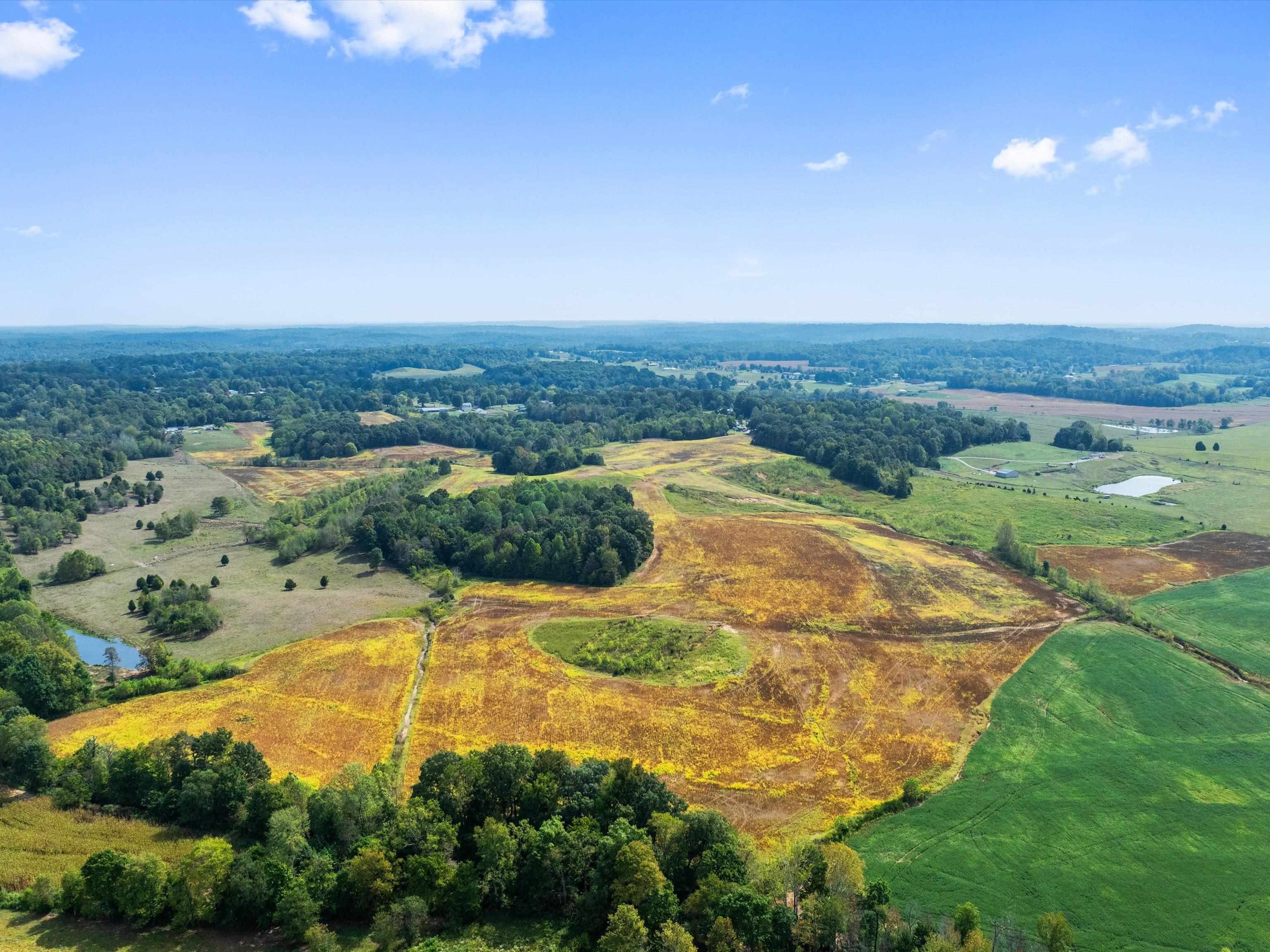 1295 Buford Road, Utica, Kentucky 42376, ,Farm,For Sale,Buford Road,93210