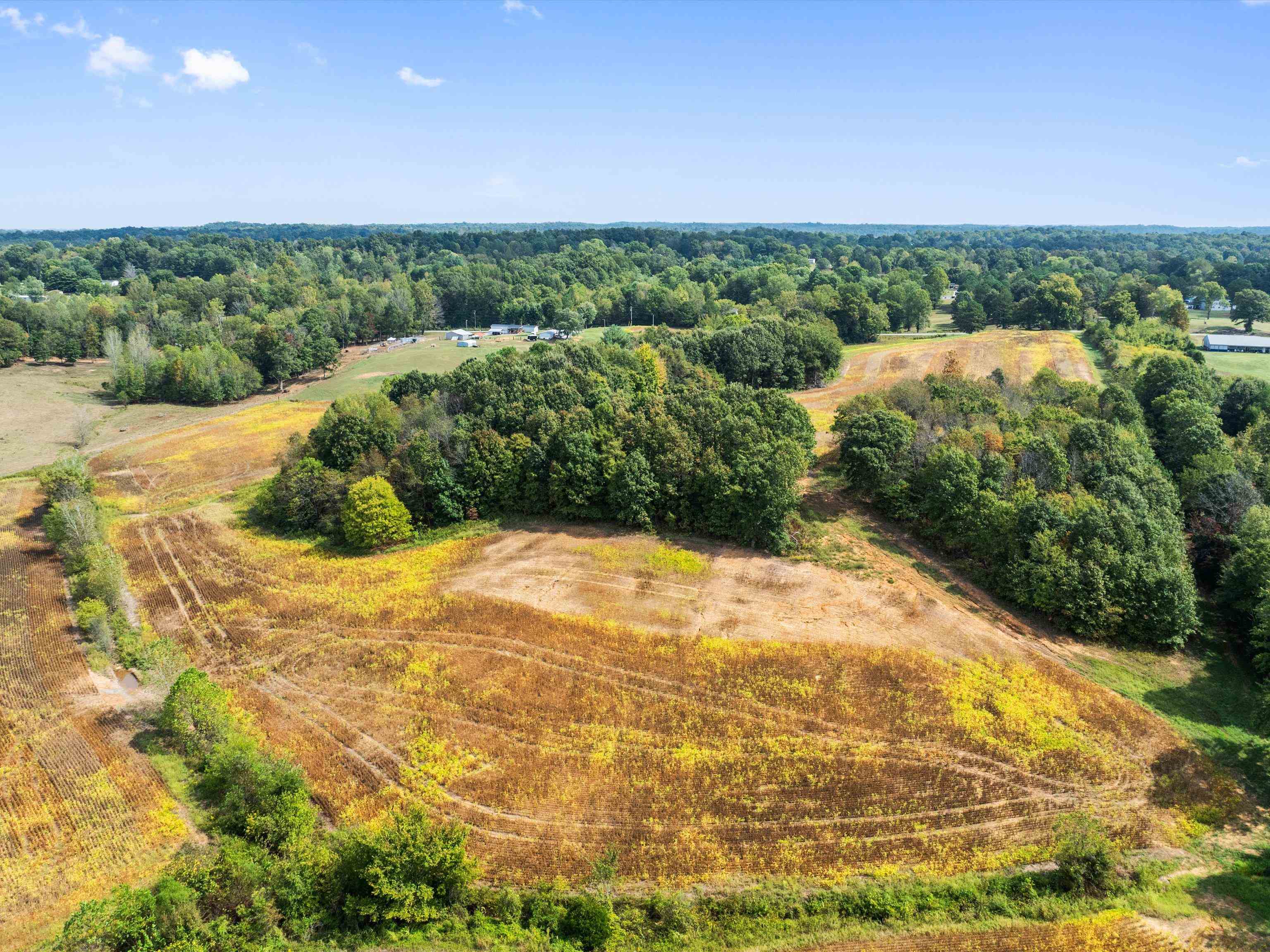 1295 Buford Road, Utica, Kentucky 42376, ,Farm,For Sale,Buford Road,93210