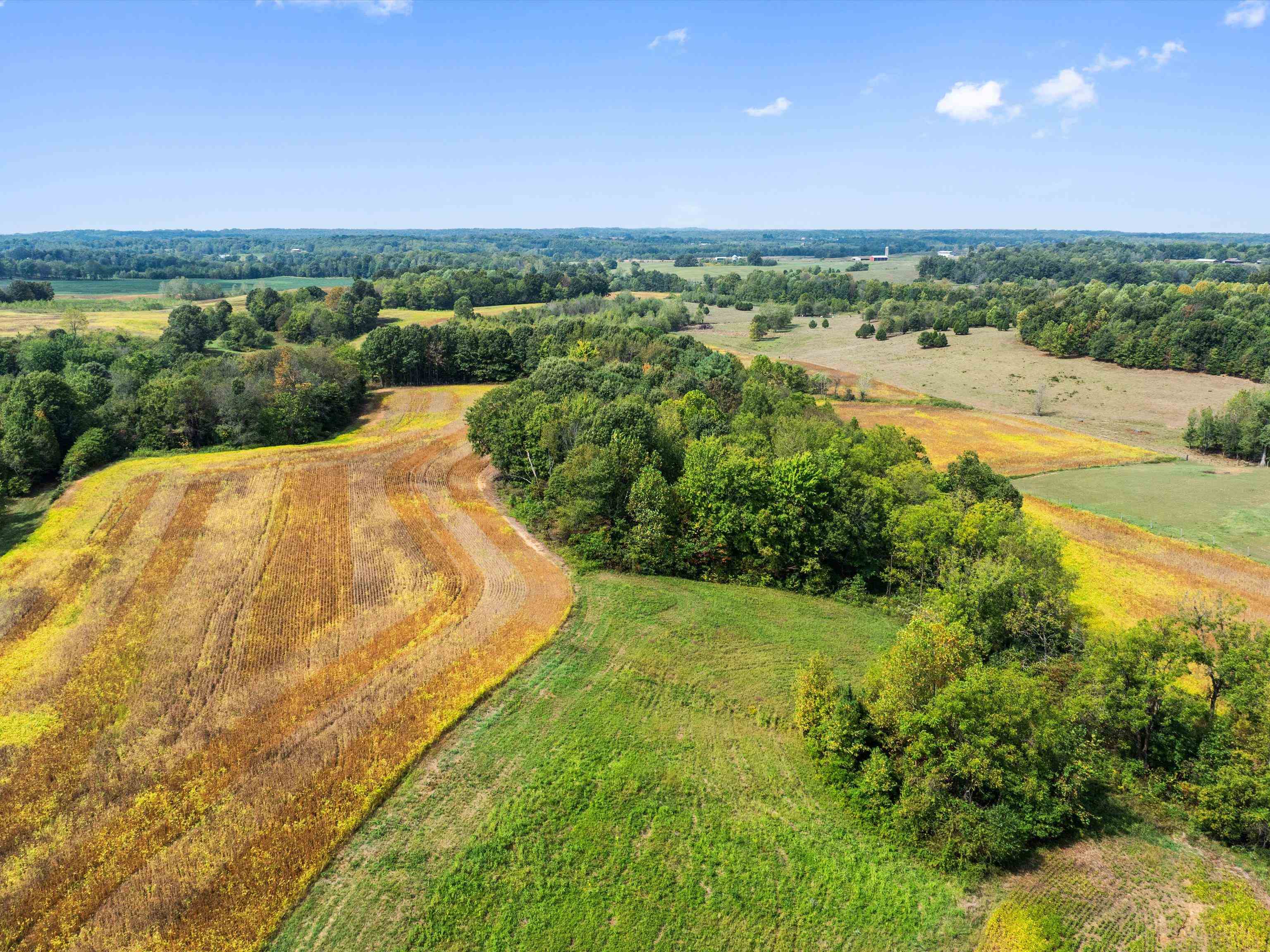 1295 Buford Road, Utica, Kentucky 42376, ,Farm,For Sale,Buford Road,93210