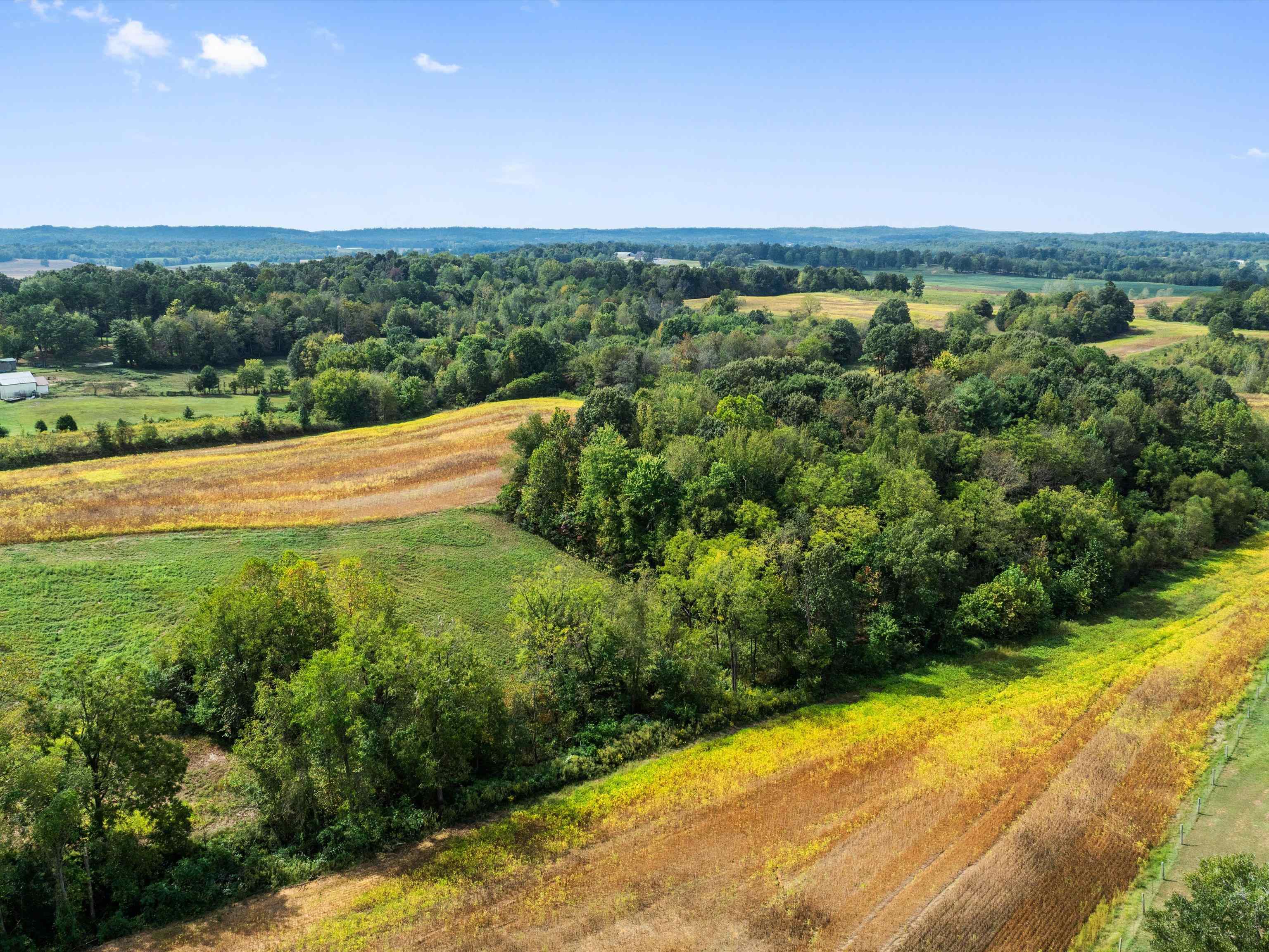 1295 Buford Road, Utica, Kentucky 42376, ,Farm,For Sale,Buford Road,93210