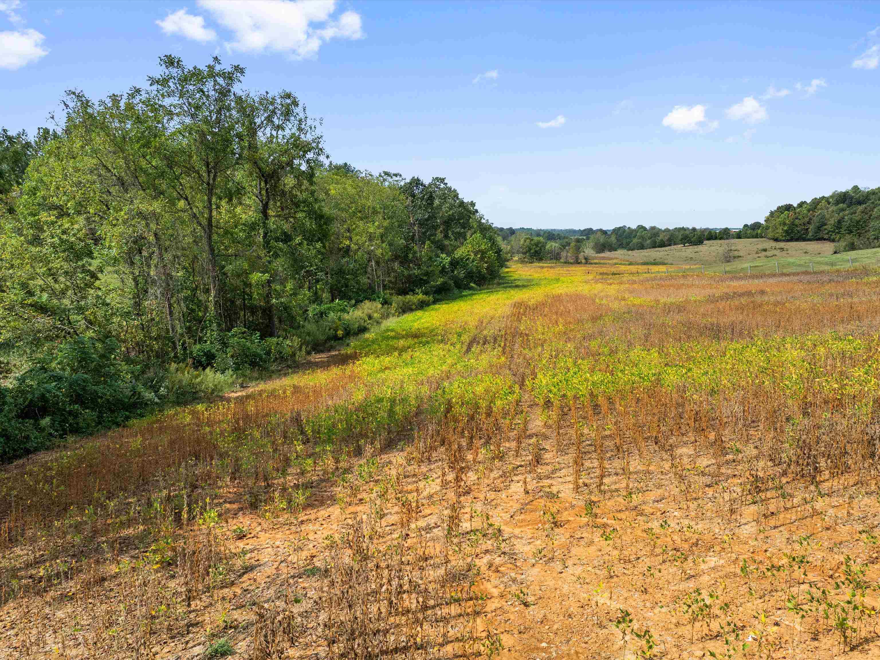 1295 Buford Road, Utica, Kentucky 42376, ,Farm,For Sale,Buford Road,93210