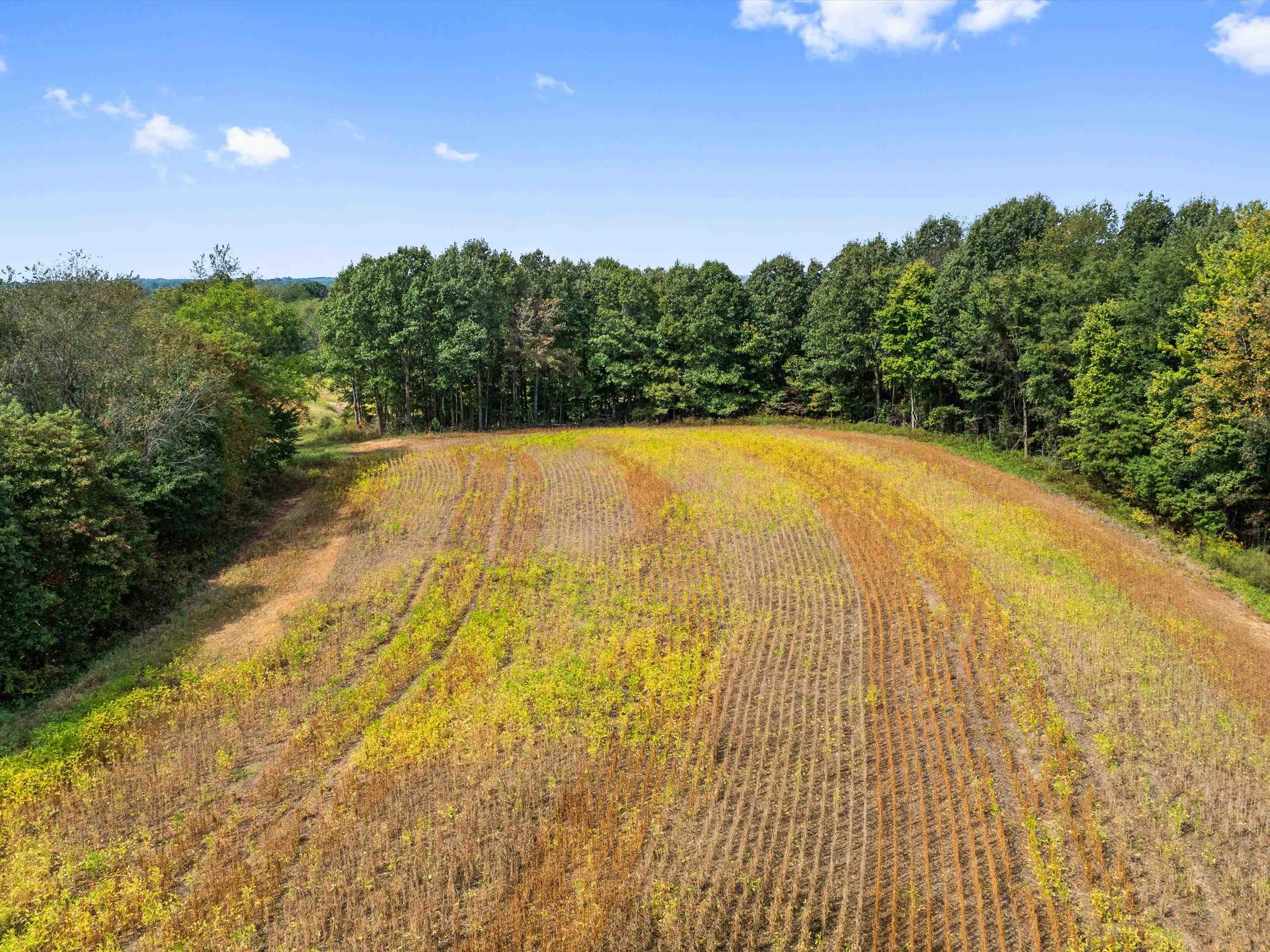 1295 Buford Road, Utica, Kentucky 42376, ,Farm,For Sale,Buford Road,93210