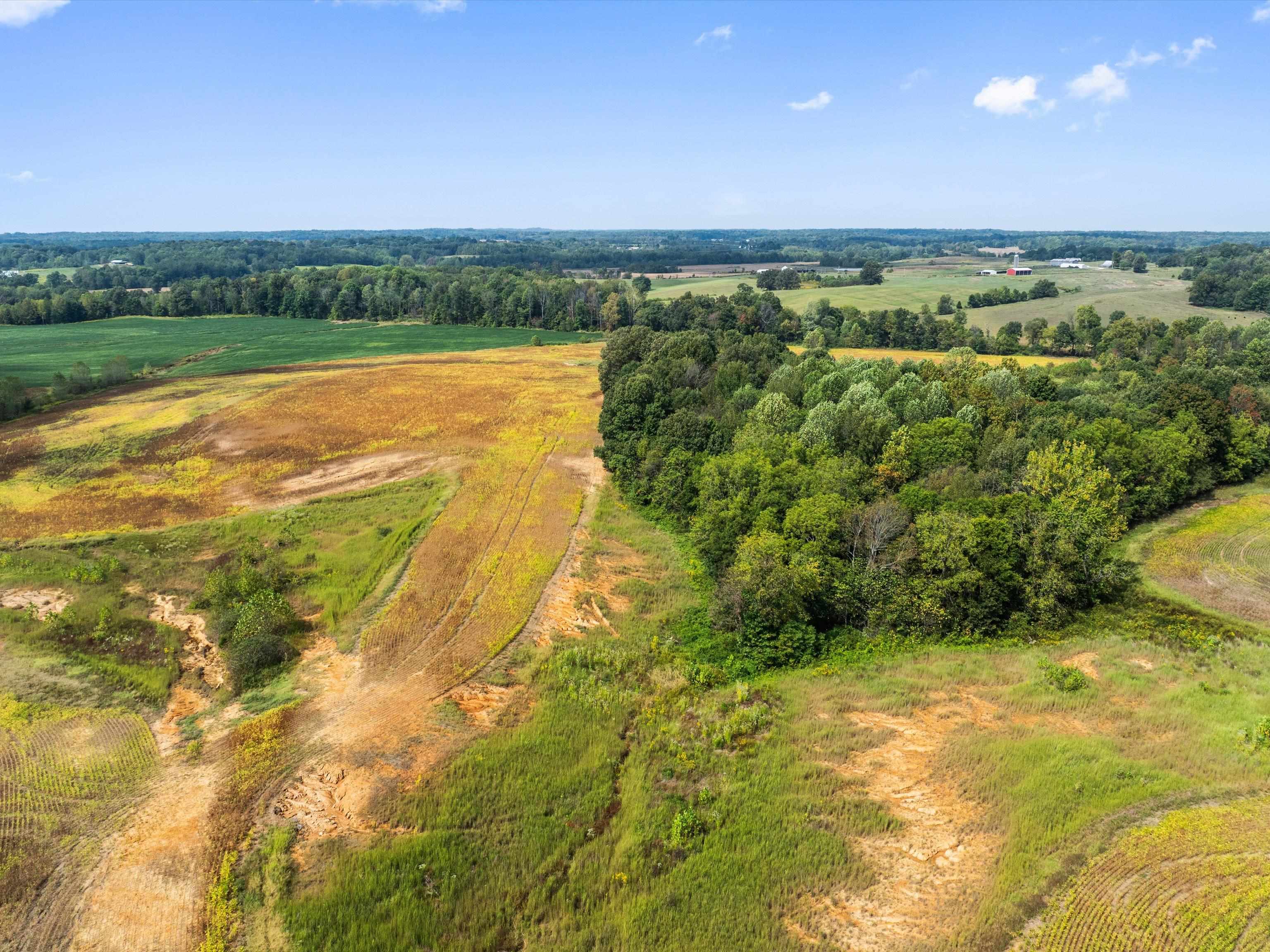 1295 Buford Road, Utica, Kentucky 42376, ,Farm,For Sale,Buford Road,93210