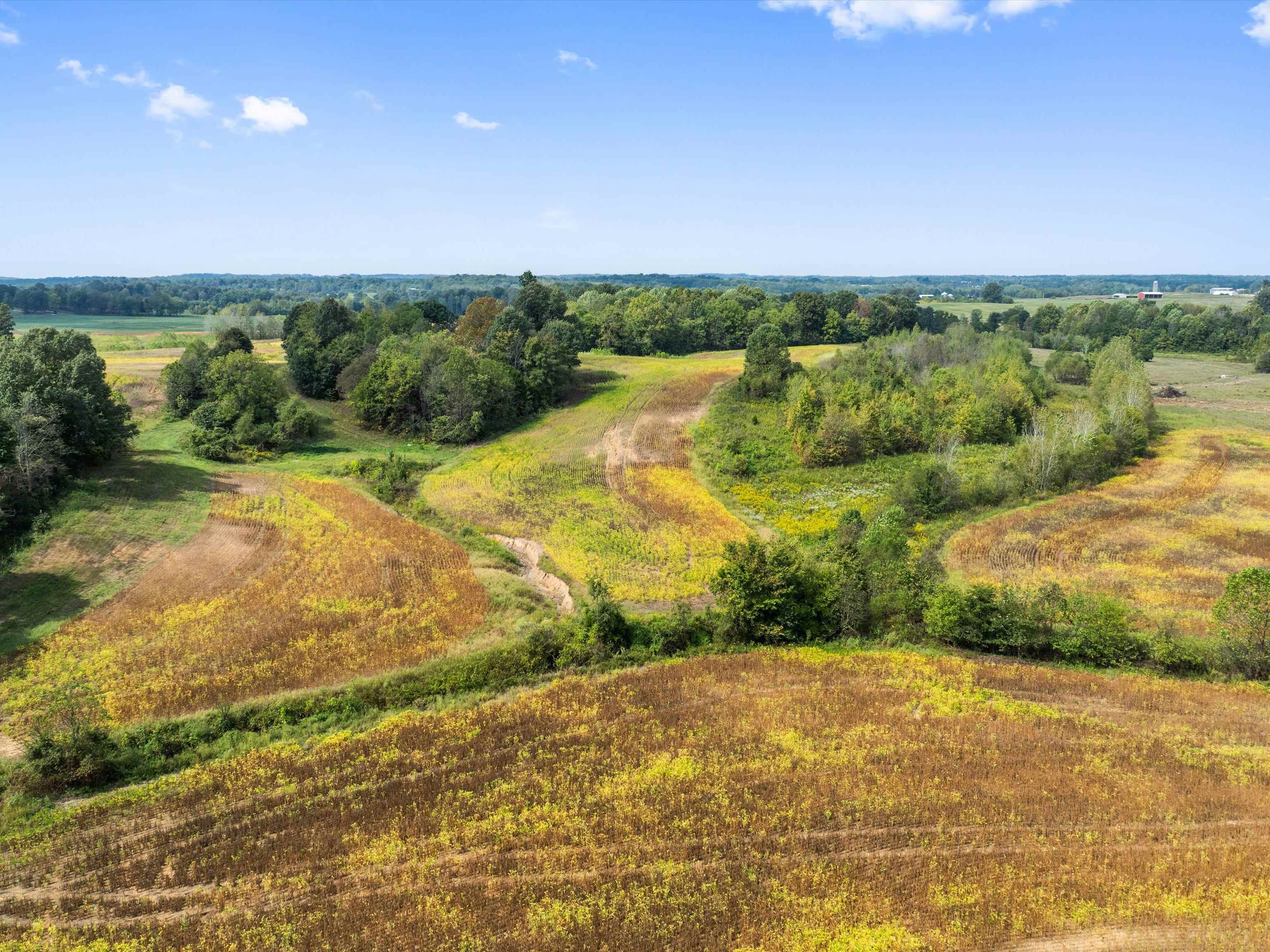 1295 Buford Road, Utica, Kentucky 42376, ,Farm,For Sale,Buford Road,93210