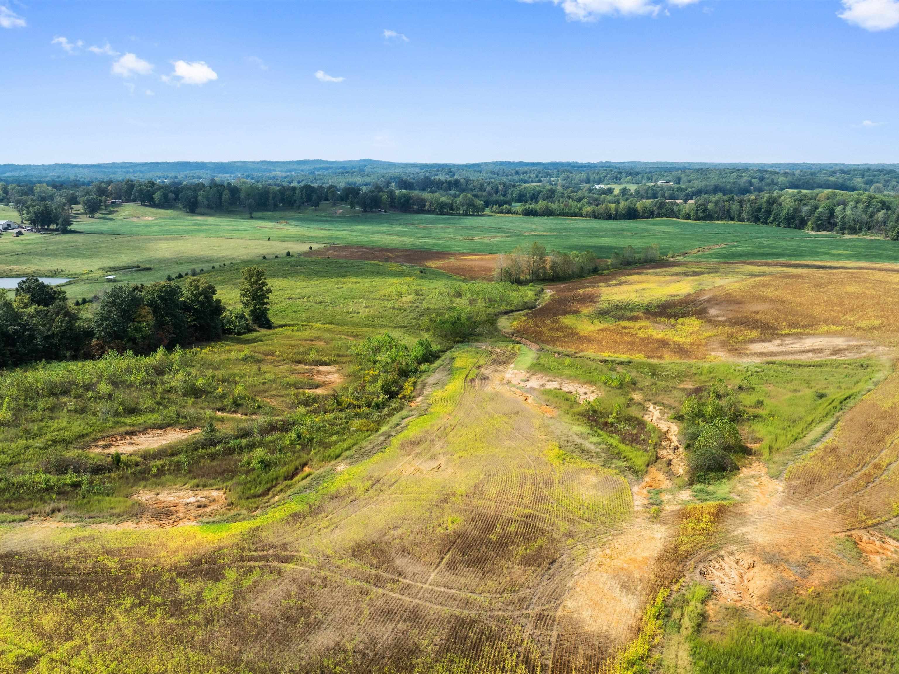 1295 Buford Road, Utica, Kentucky 42376, ,Farm,For Sale,Buford Road,93210