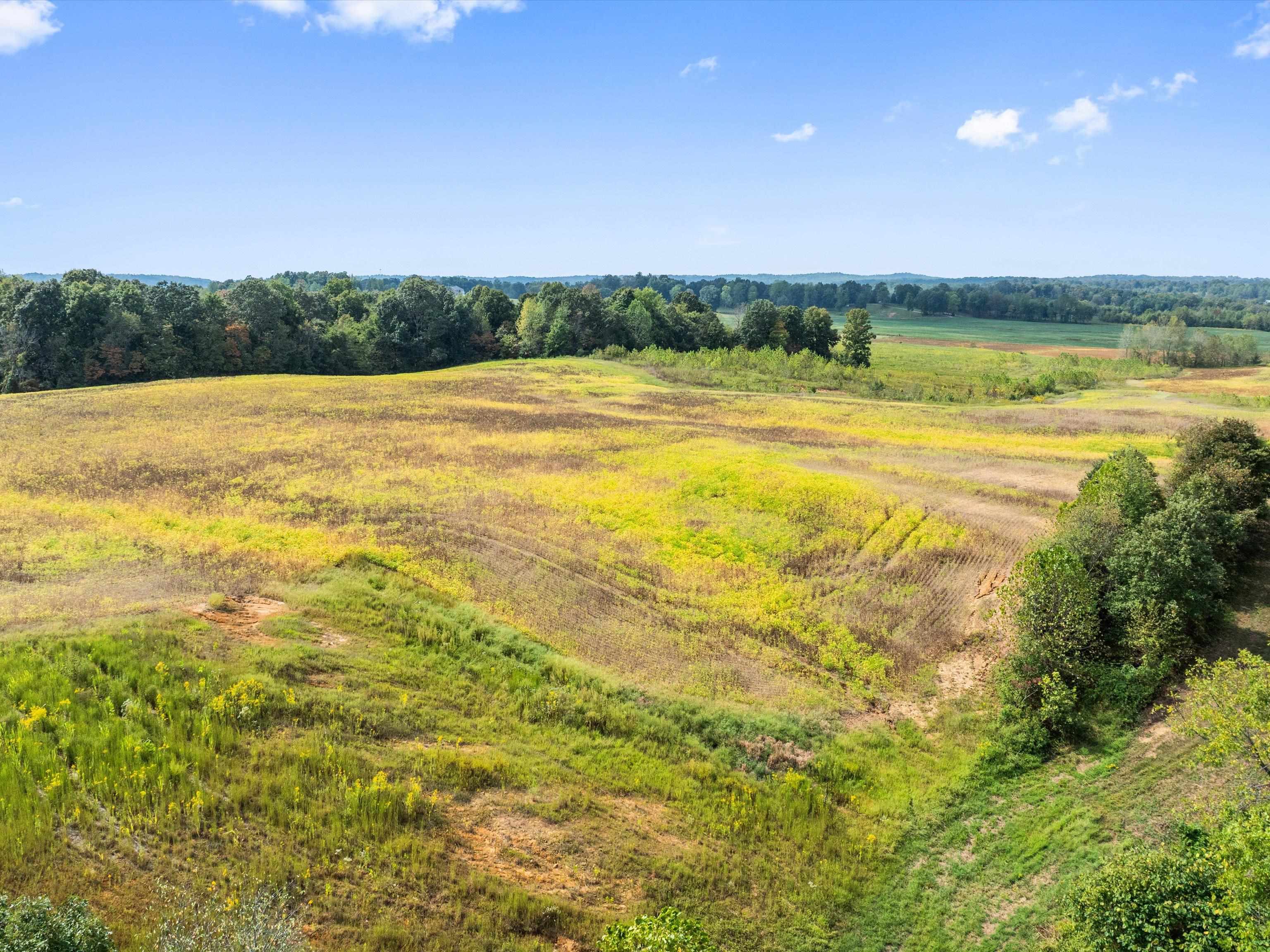 1295 Buford Road, Utica, Kentucky 42376, ,Farm,For Sale,Buford Road,93210