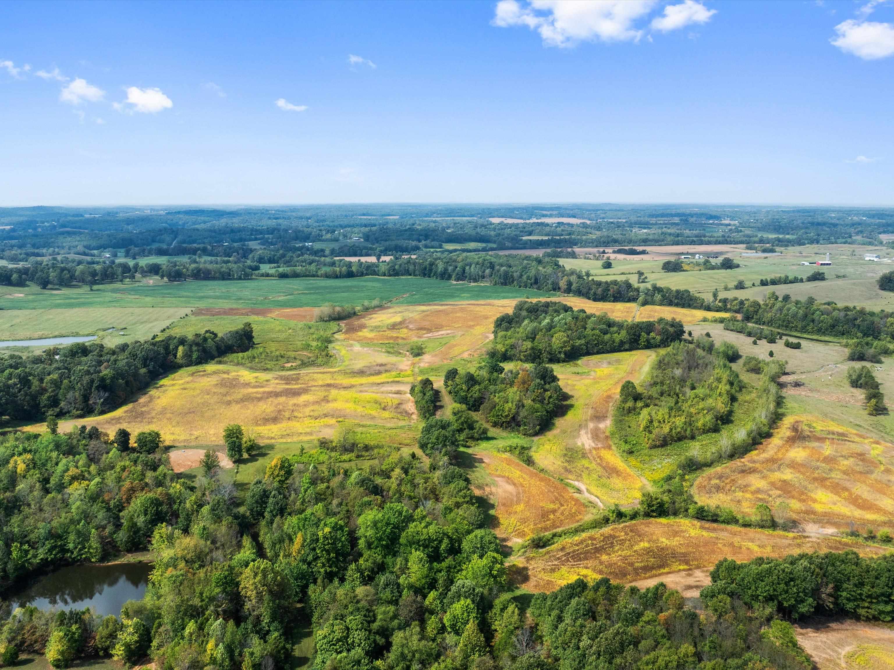 1295 Buford Road, Utica, Kentucky 42376, ,Farm,For Sale,Buford Road,93210