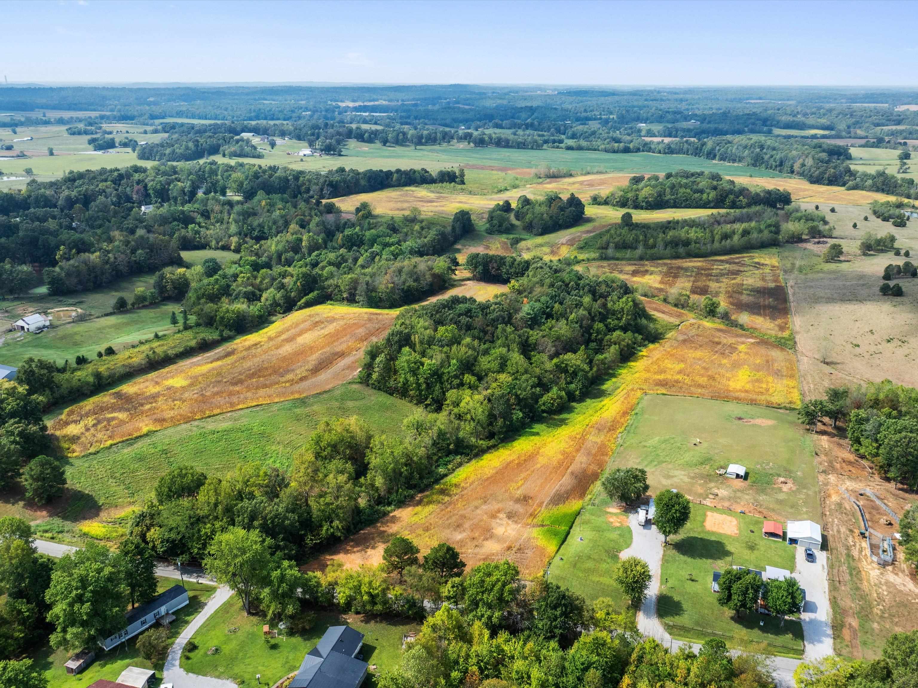 1295 Buford Road, Utica, Kentucky 42376, ,Farm,For Sale,Buford Road,93210