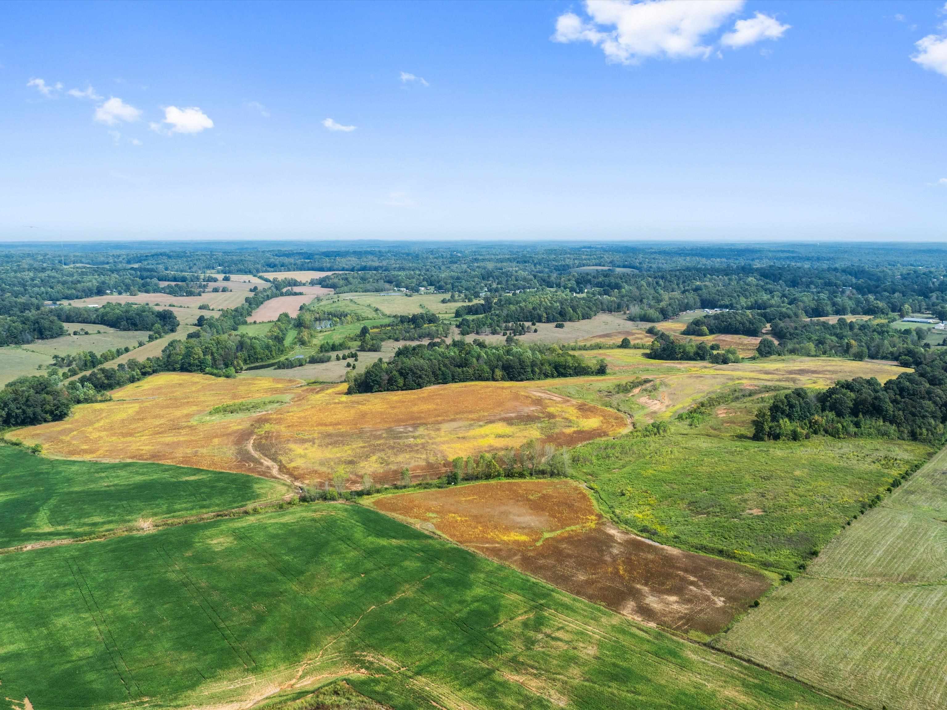 1295 Buford Road, Utica, Kentucky 42376, ,Farm,For Sale,Buford Road,93210