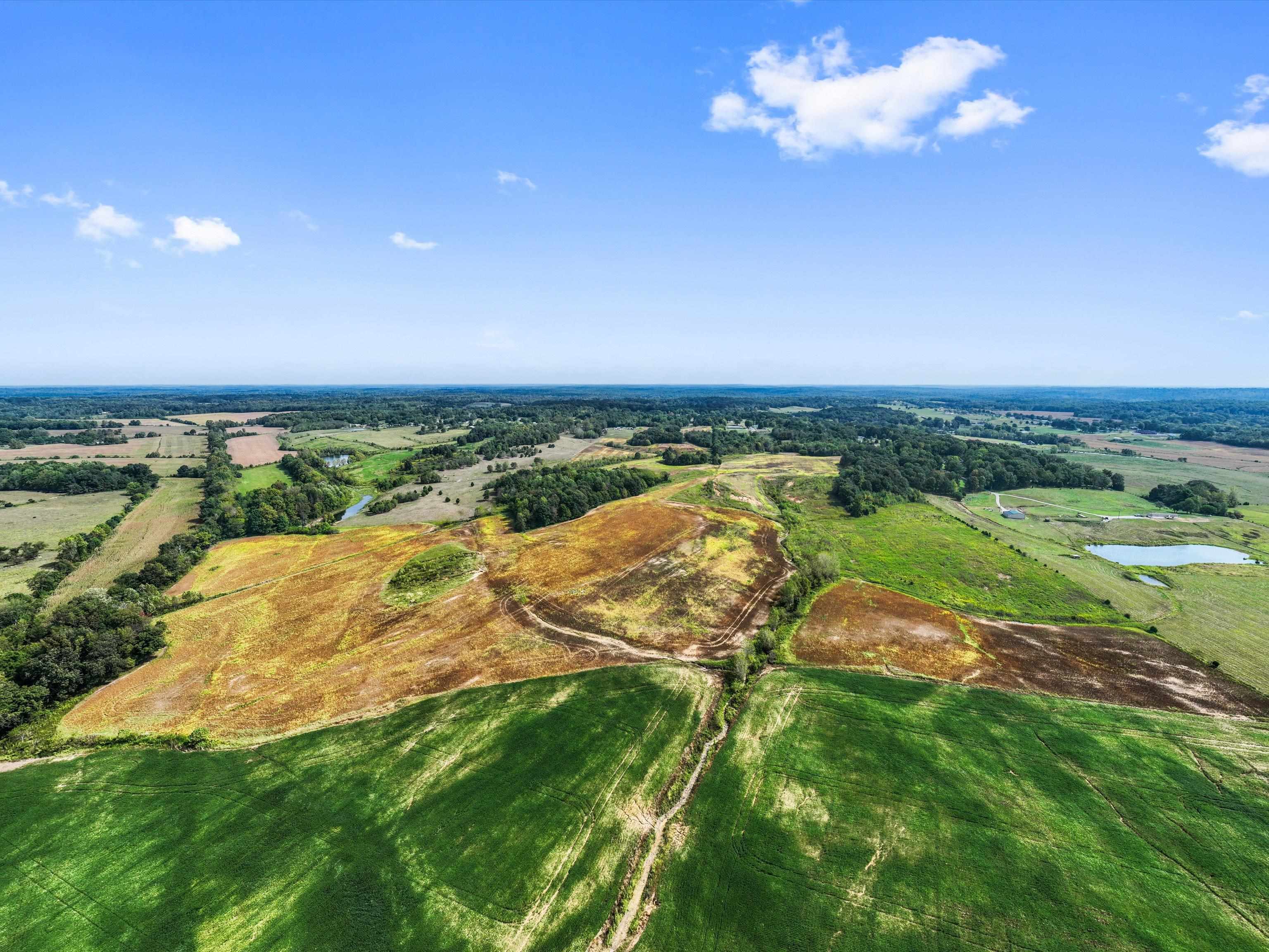 1295 Buford Road, Utica, Kentucky 42376, ,Farm,For Sale,Buford Road,93210