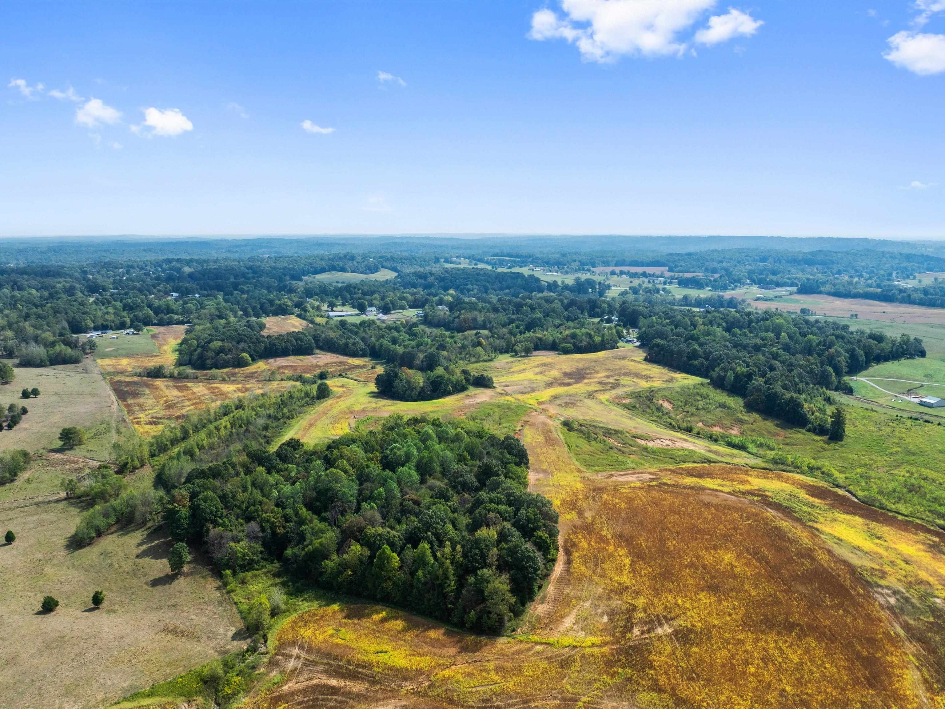 1295 Buford Road, Utica, Kentucky 42376, ,Farm,For Sale,Buford Road,93210