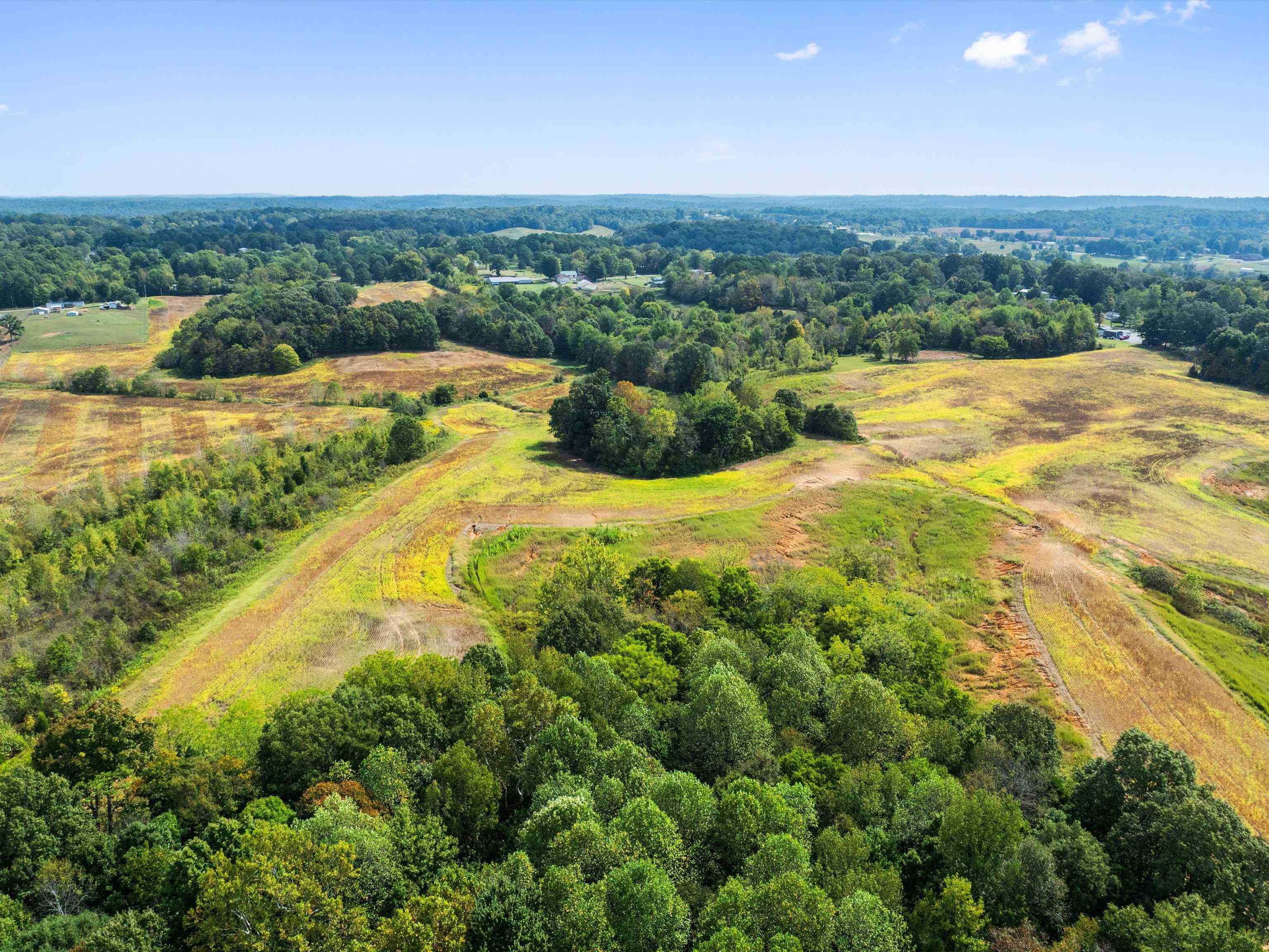 1295 Buford Road, Utica, Kentucky 42376, ,Farm,For Sale,Buford Road,93210